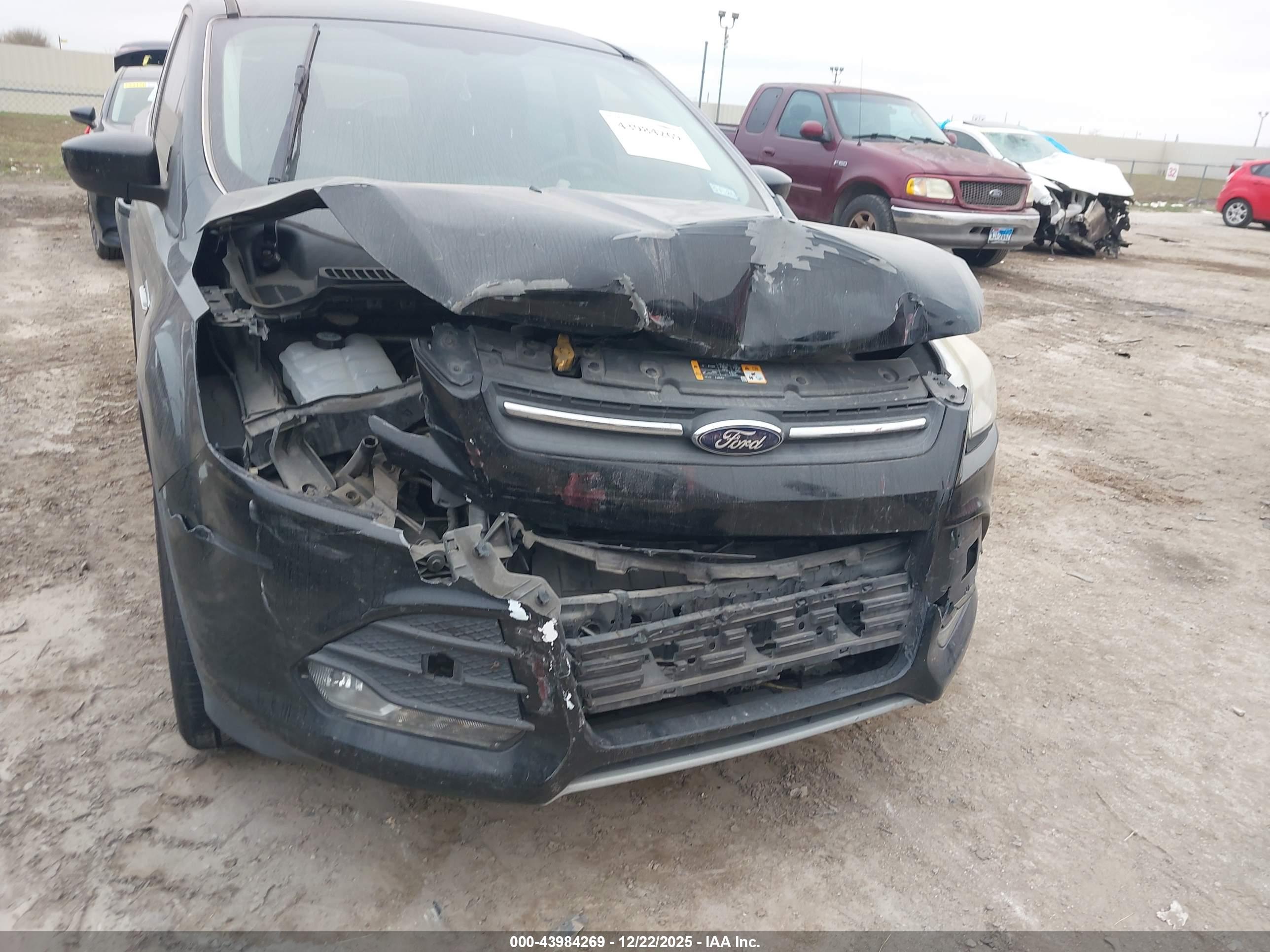 FORD ESCAPE image 6