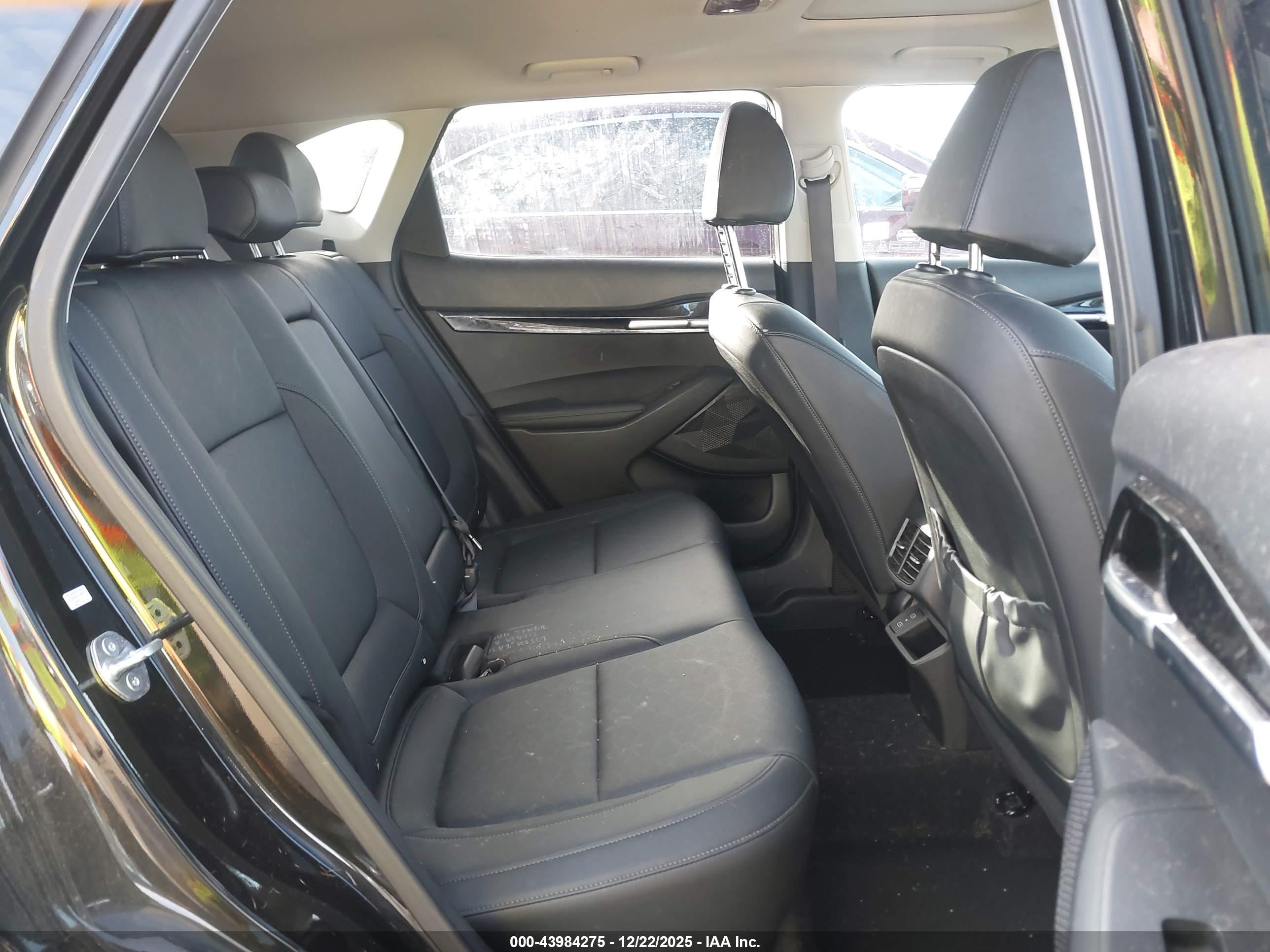 KIA SELTOS image 8