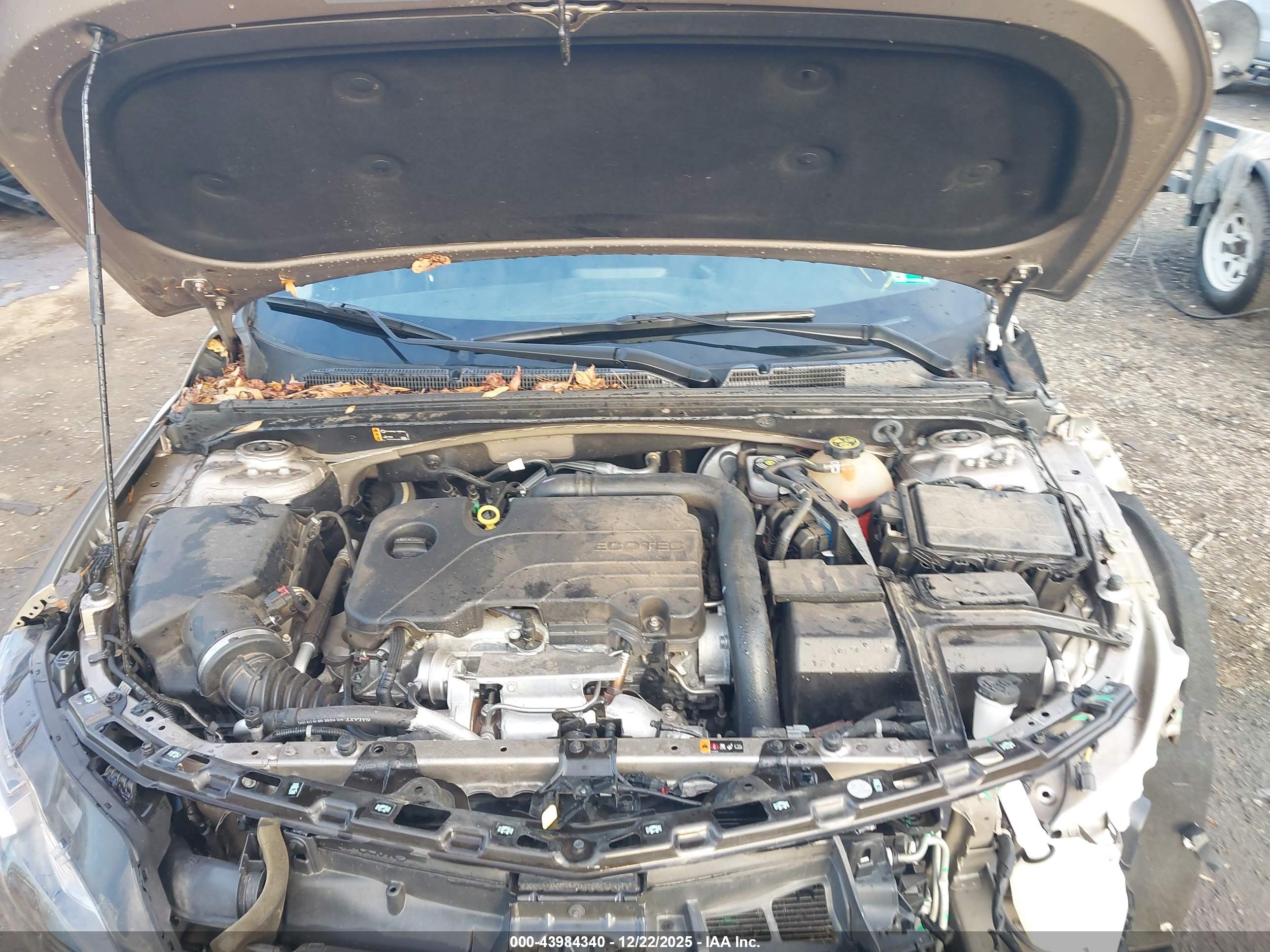CHEVROLET MALIBU image 10