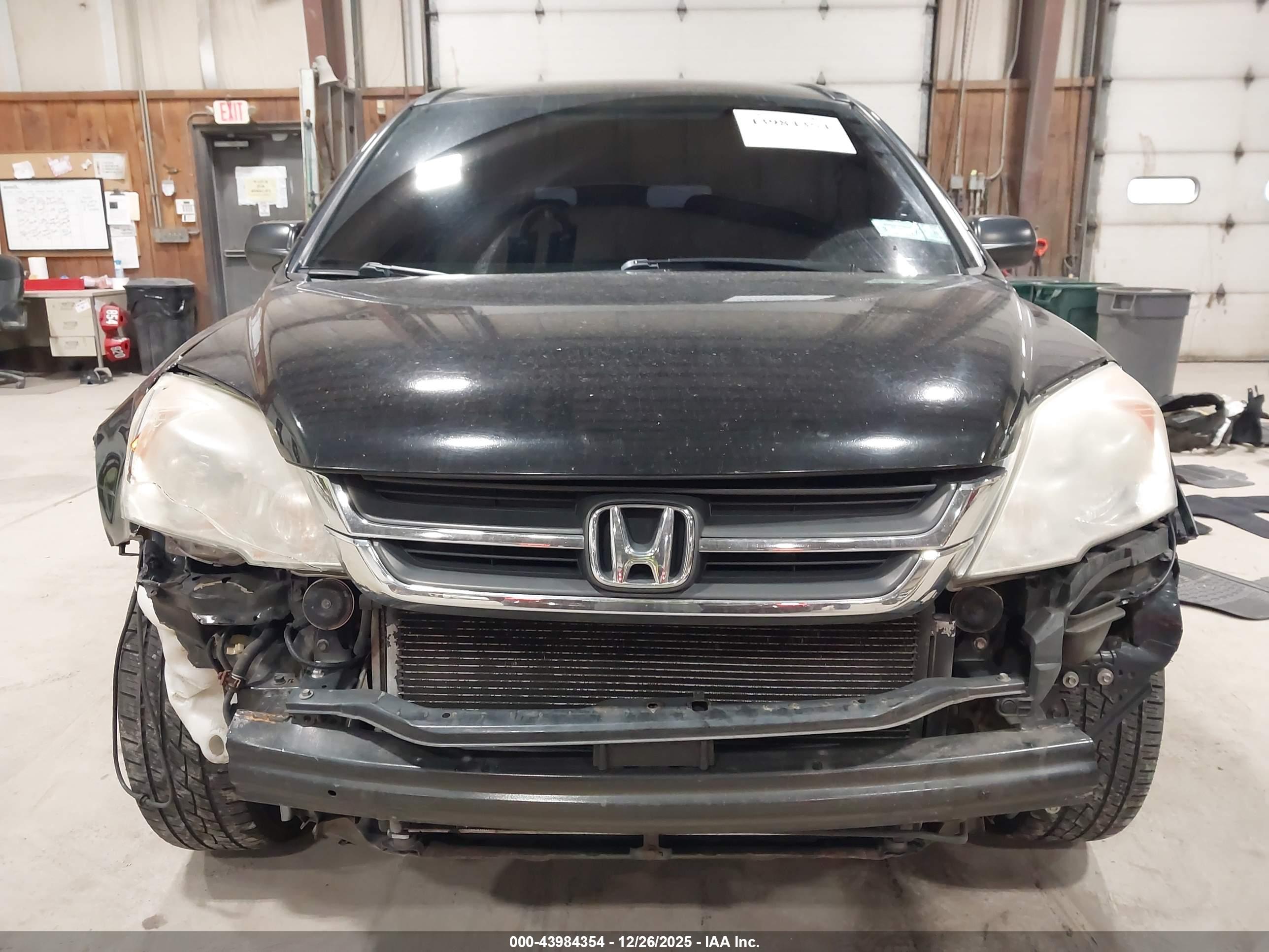 HONDA CR-V image 6
