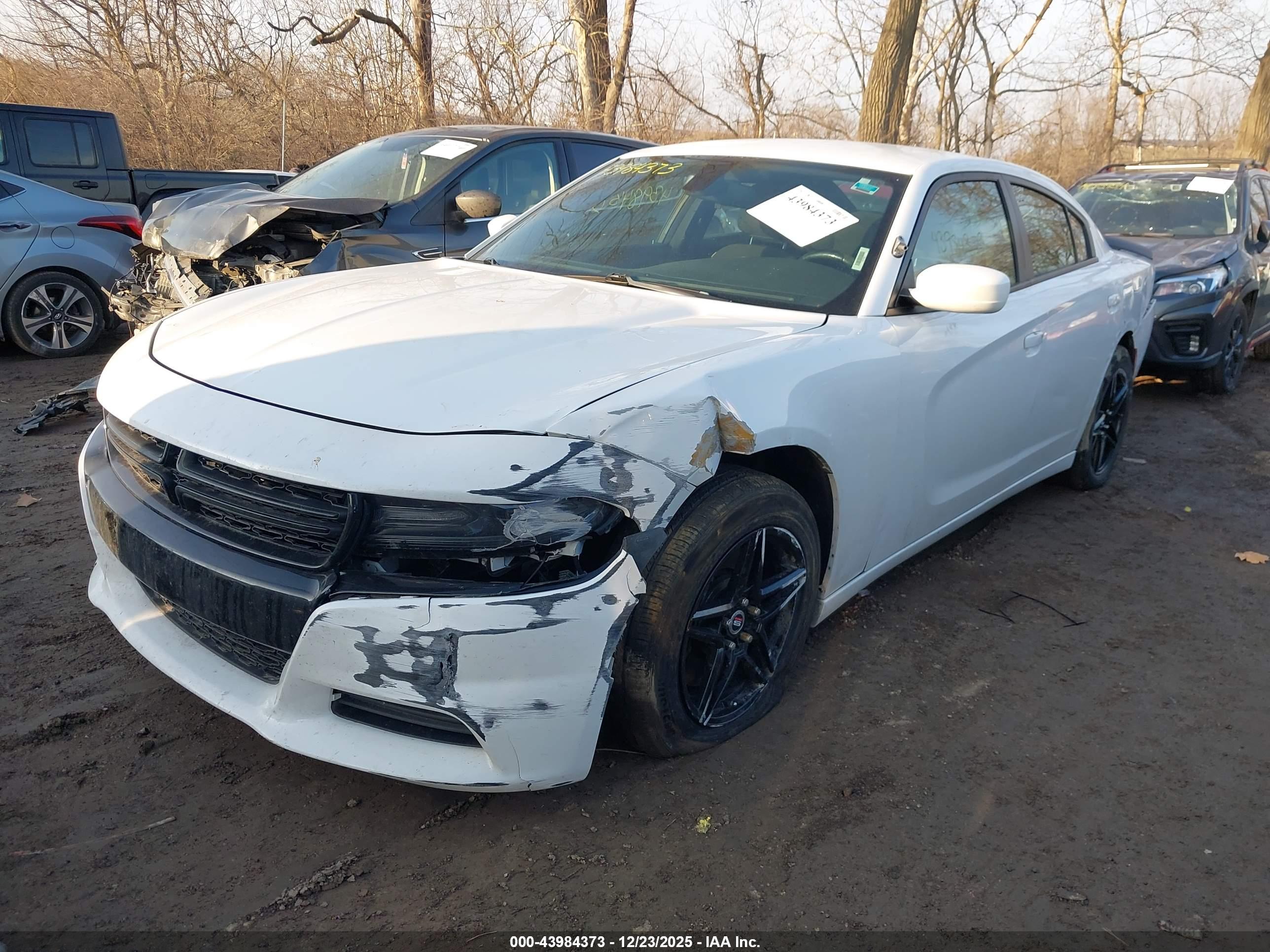 DODGE CHARGER image 2