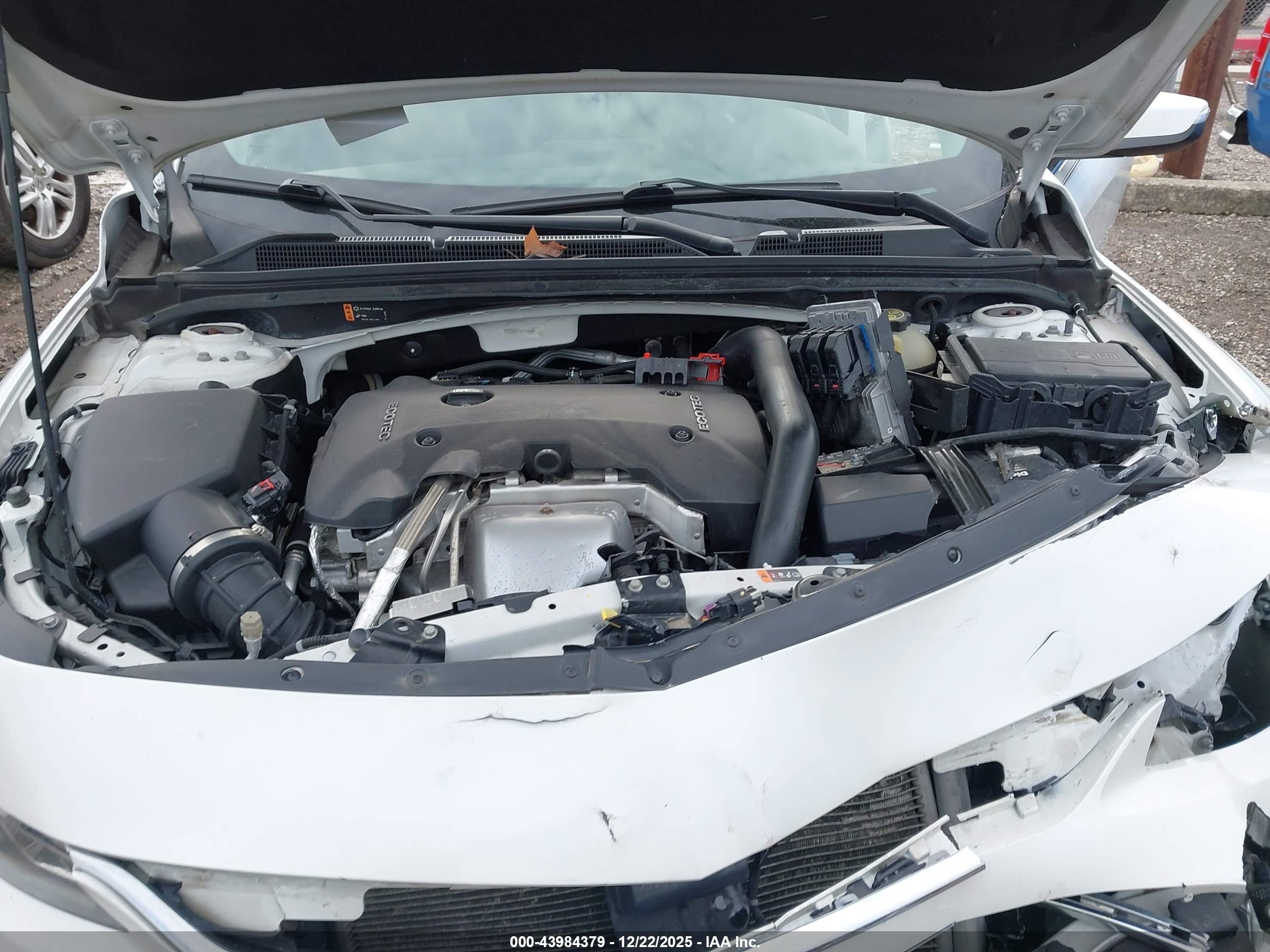 CHEVROLET MALIBU image 10