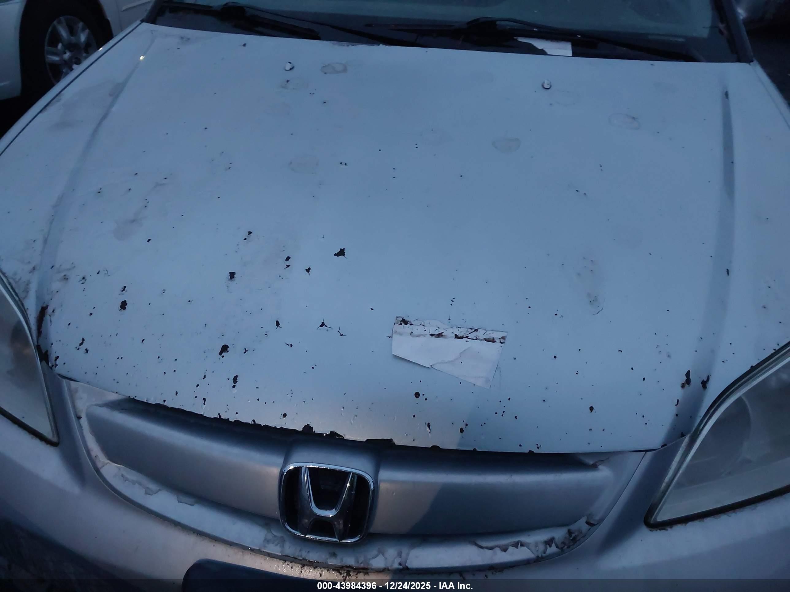 HONDA CIVIC image 6