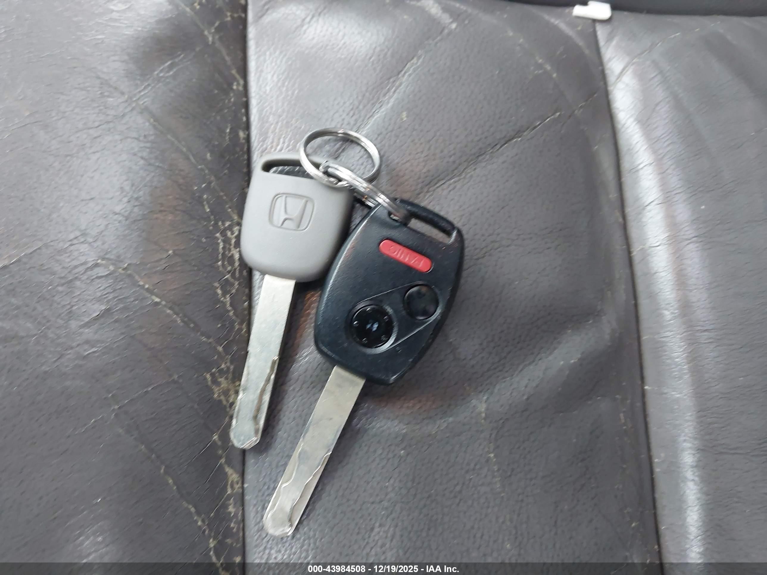 HONDA CR-V image 11