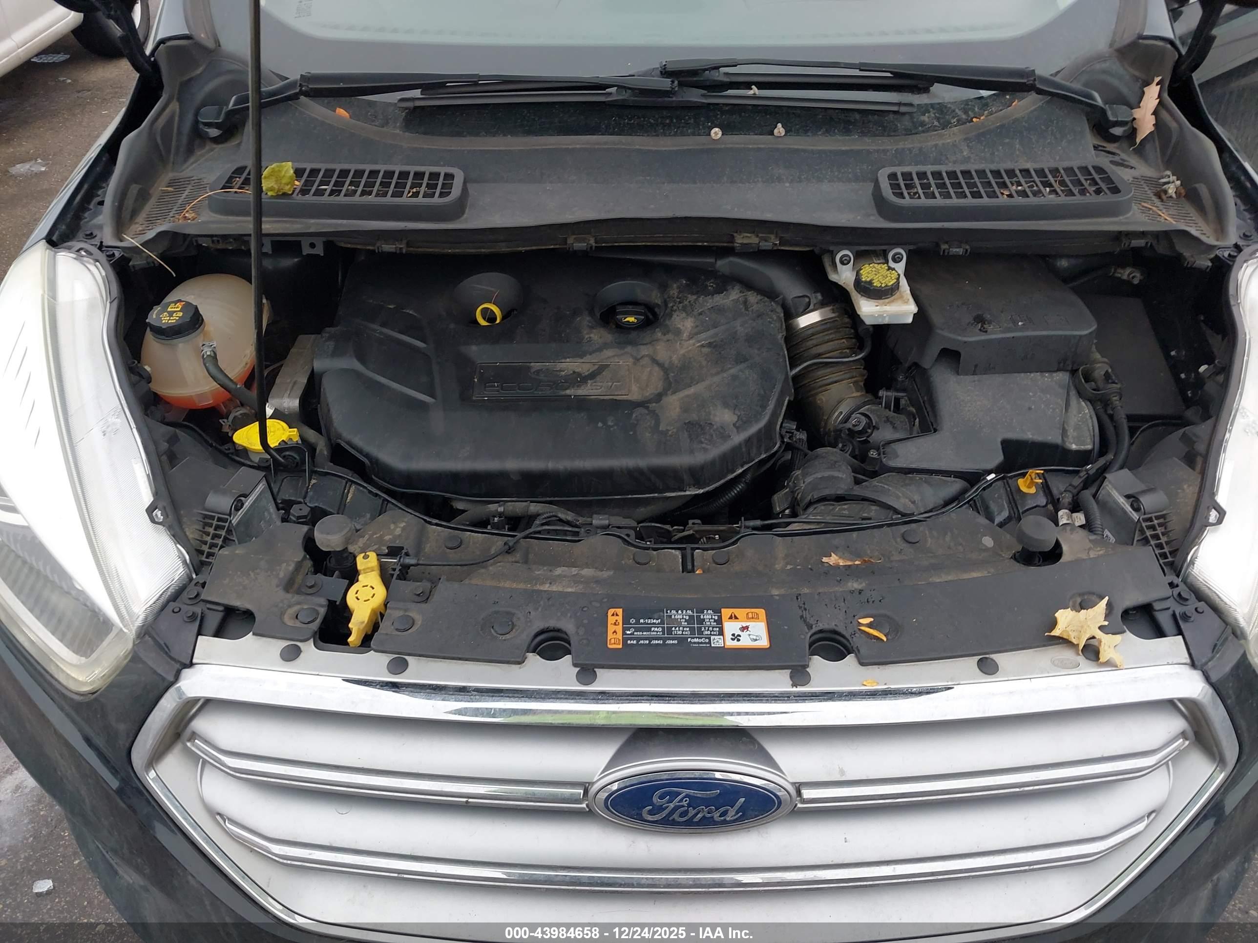 FORD ESCAPE image 10