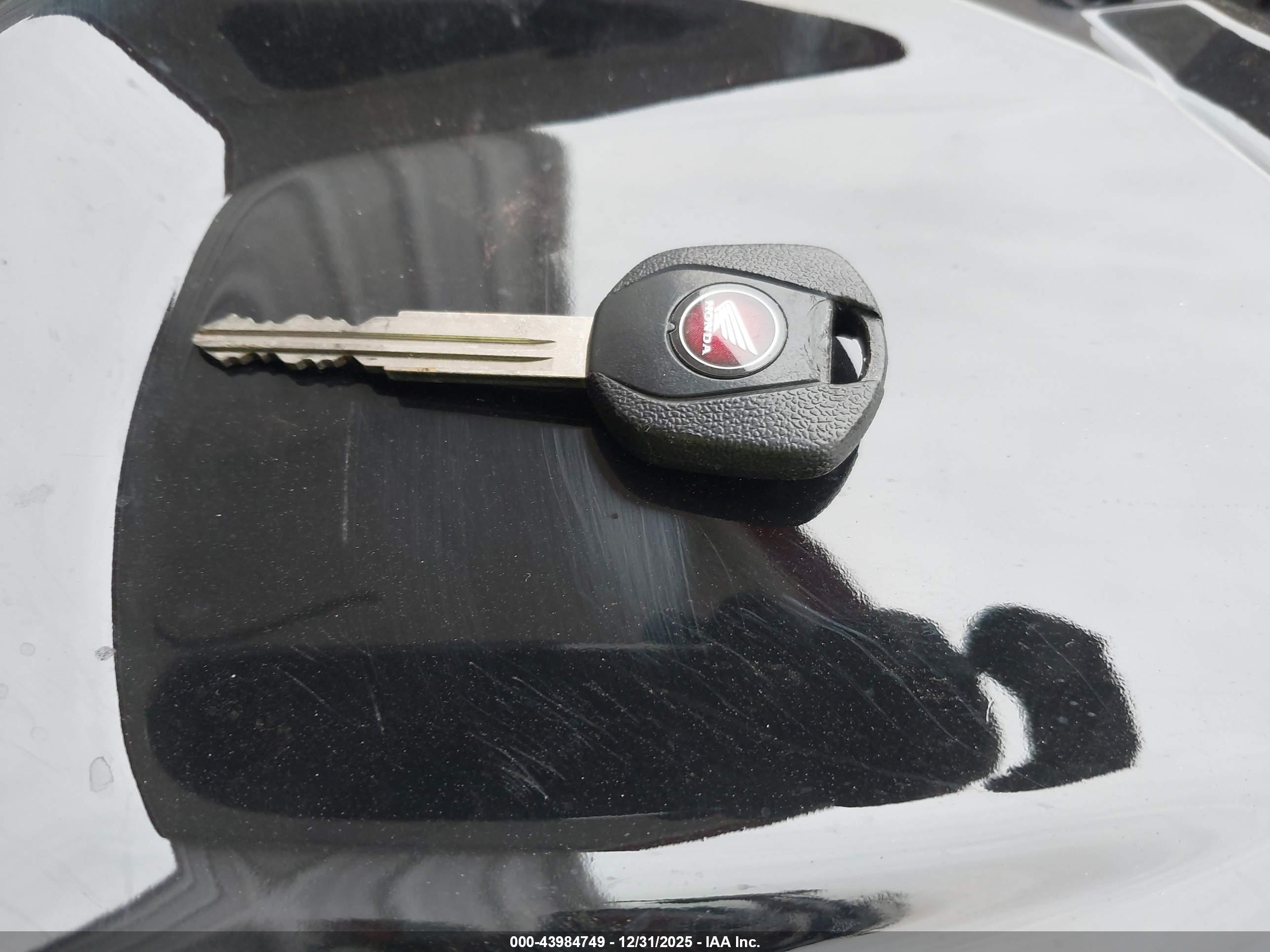 HONDA CBR600 image 11