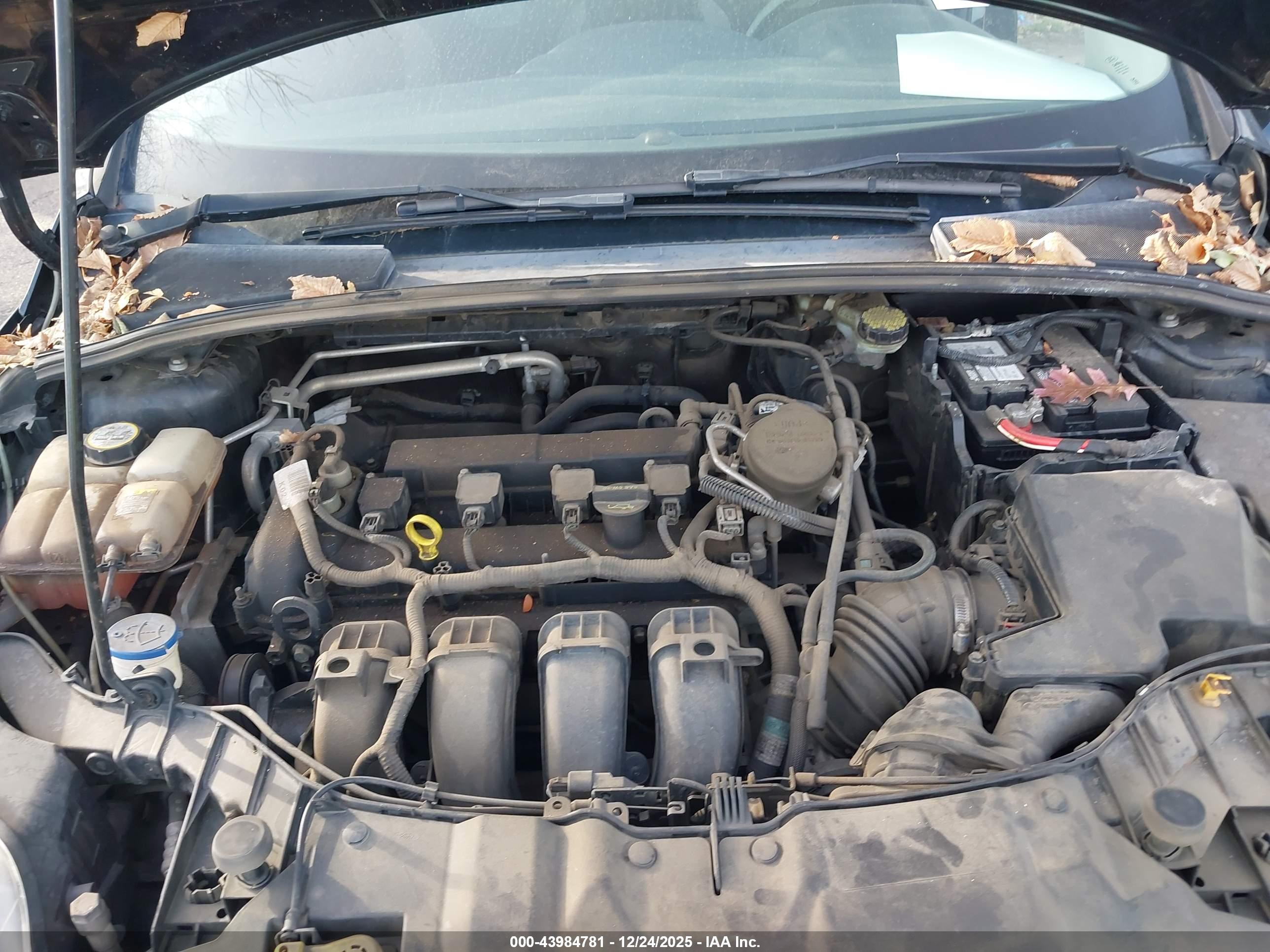 FORD FOCUS image 10
