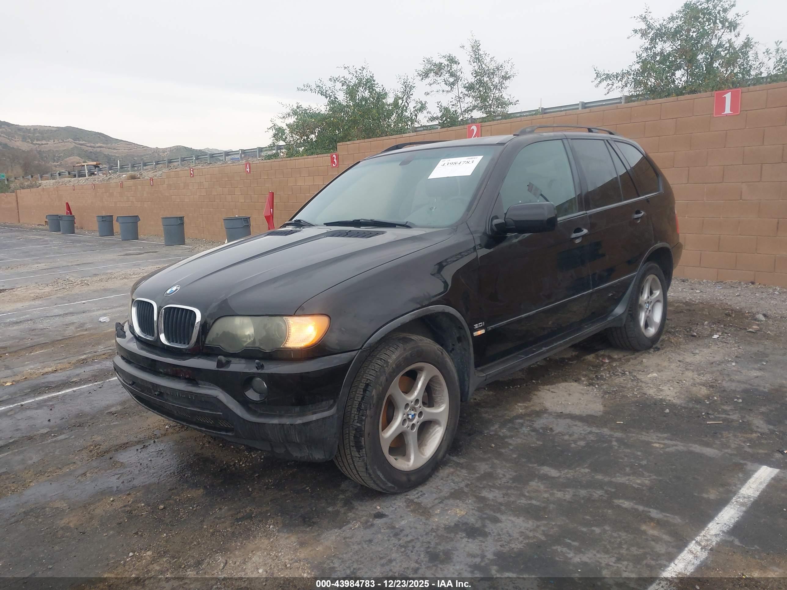 BMW X5 image 2