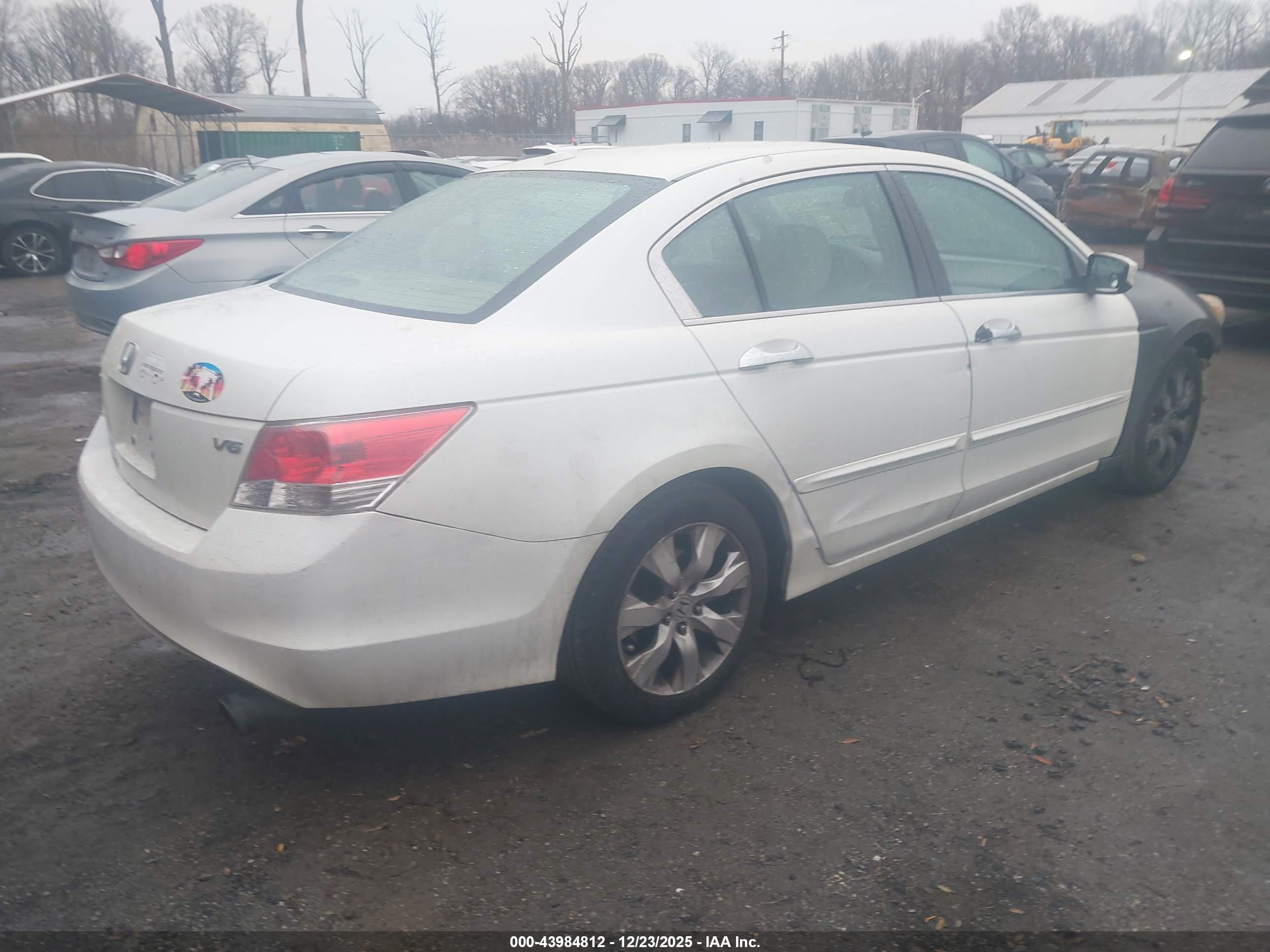 HONDA ACCORD image 4