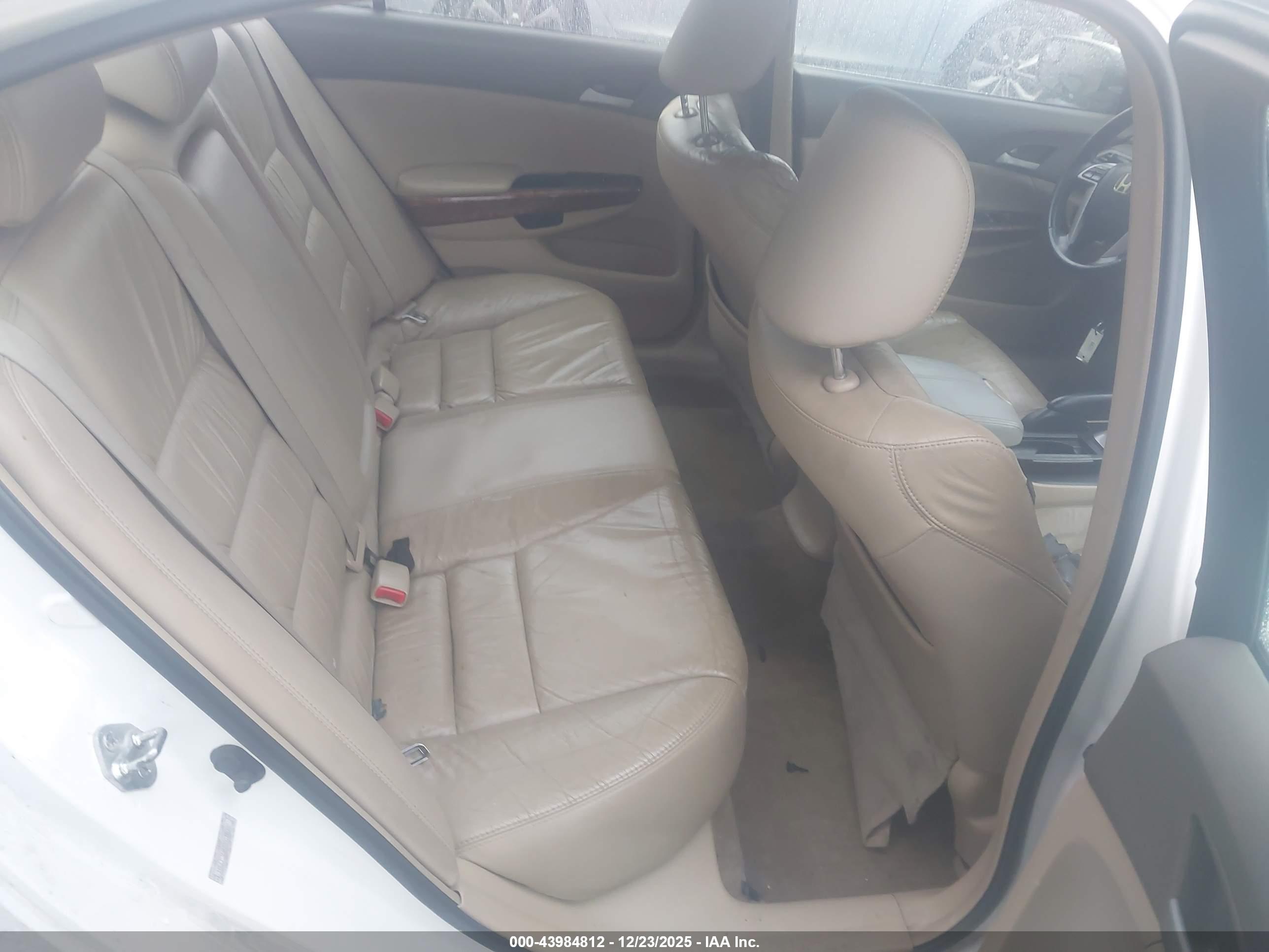 HONDA ACCORD image 8