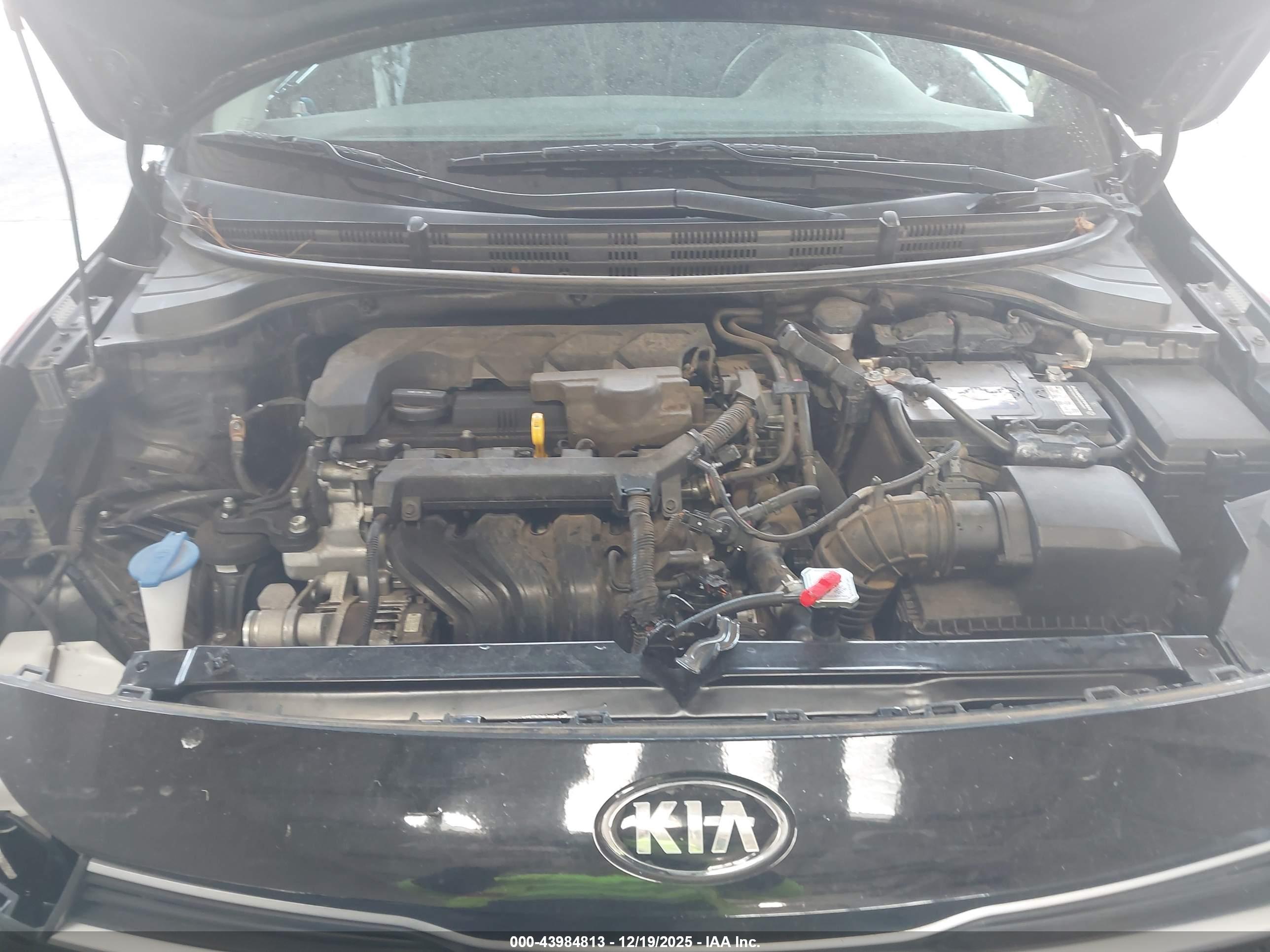 KIA RIO image 10