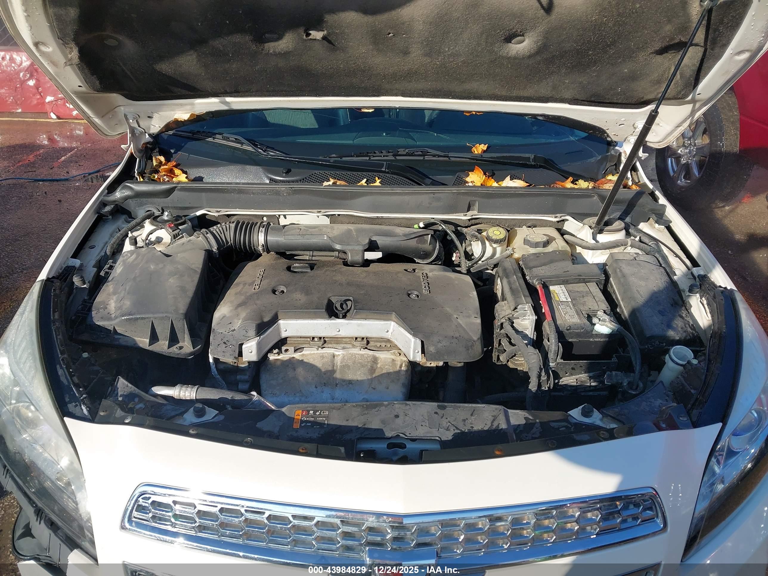 CHEVROLET MALIBU image 10