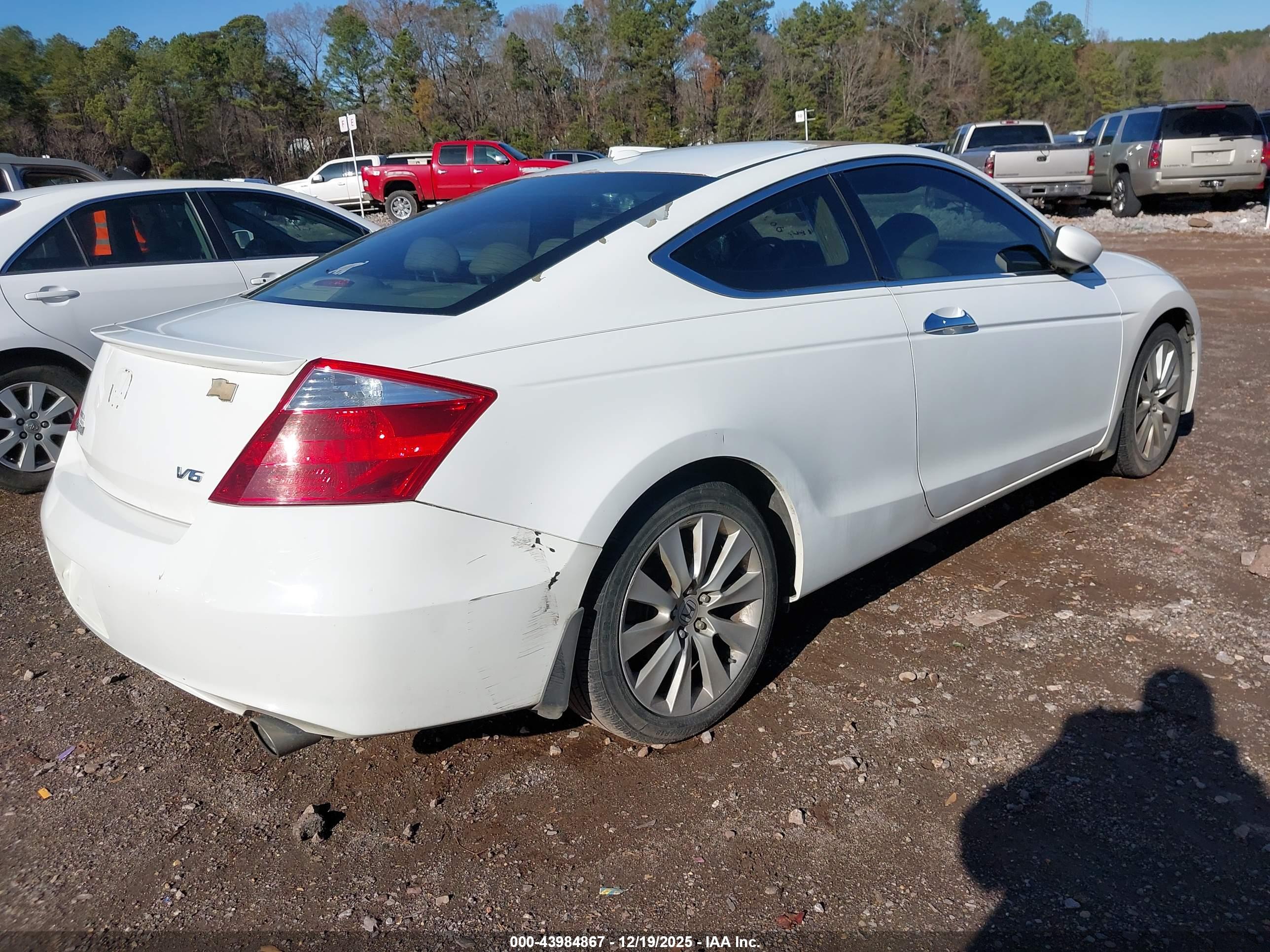 HONDA ACCORD image 4
