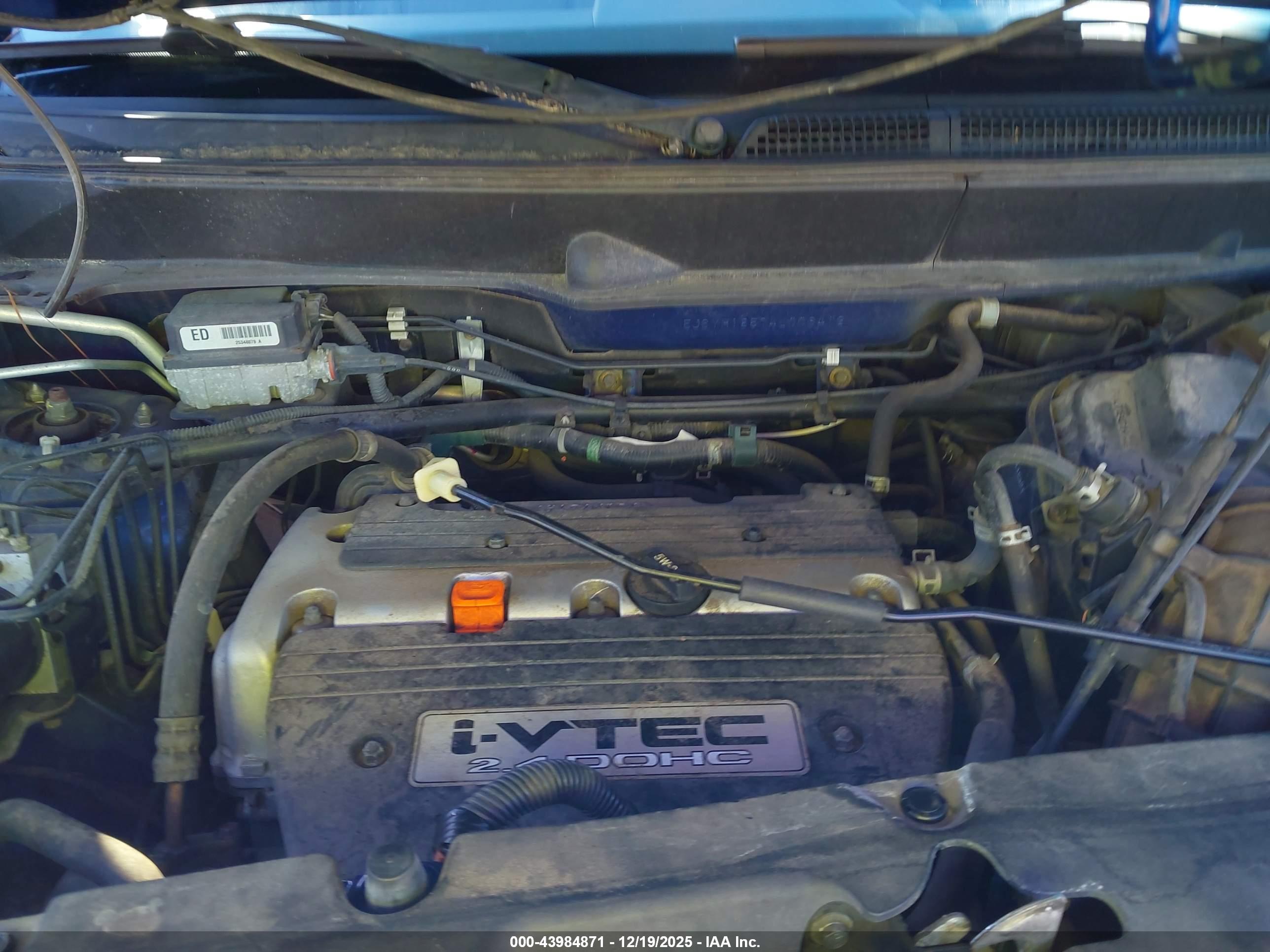 HONDA ELEMENT image 10