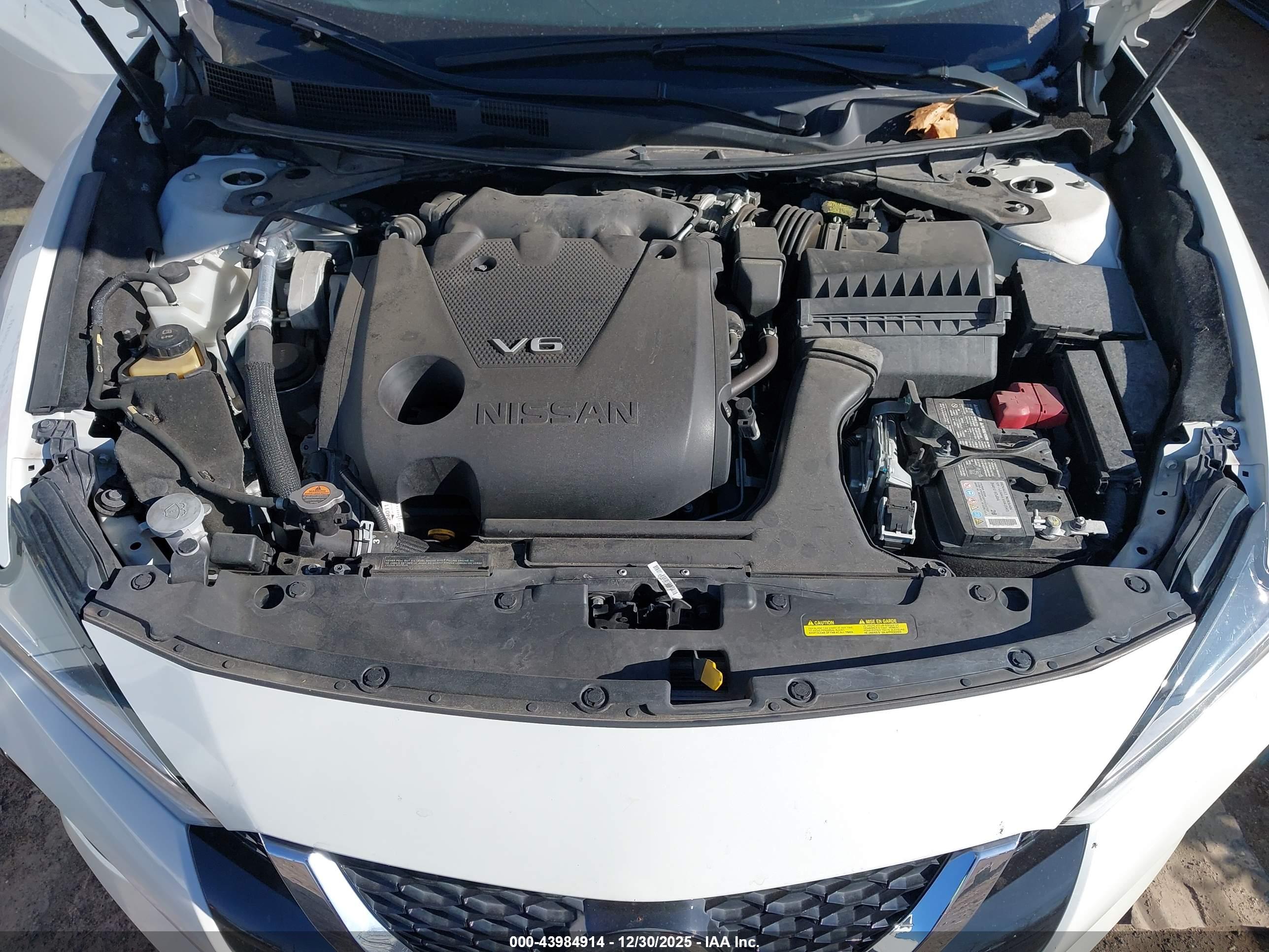 NISSAN MAXIMA image 10