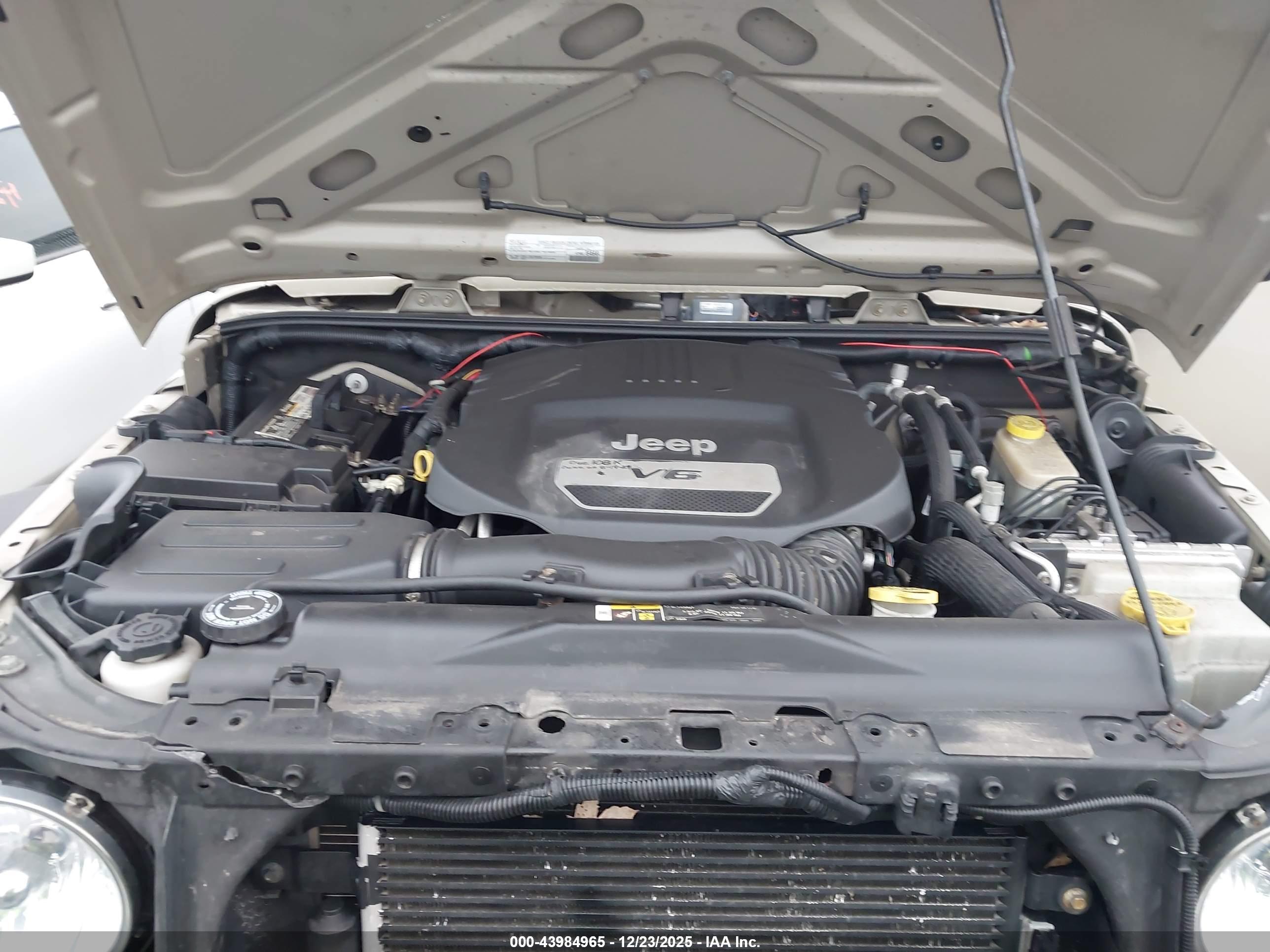 JEEP WRANGLER image 10