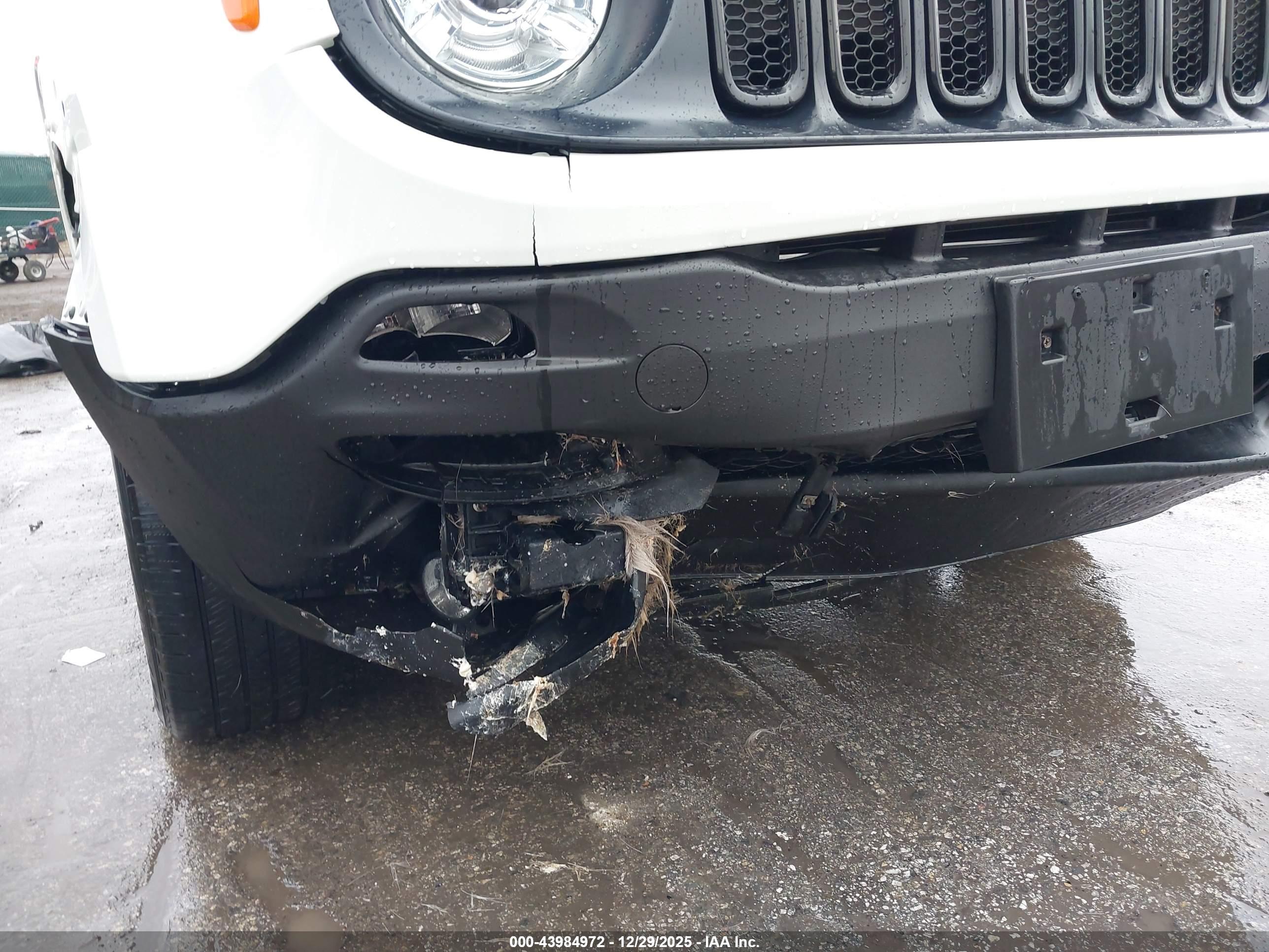 JEEP RENEGADE image 6