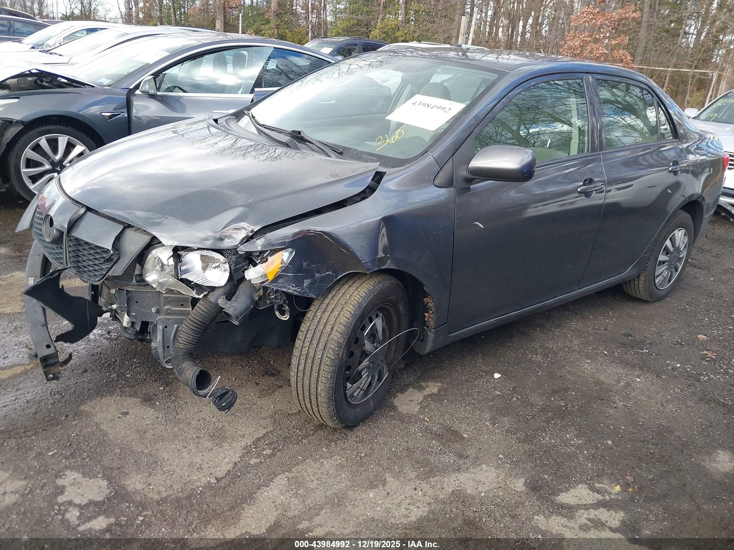 TOYOTA COROLLA image 2