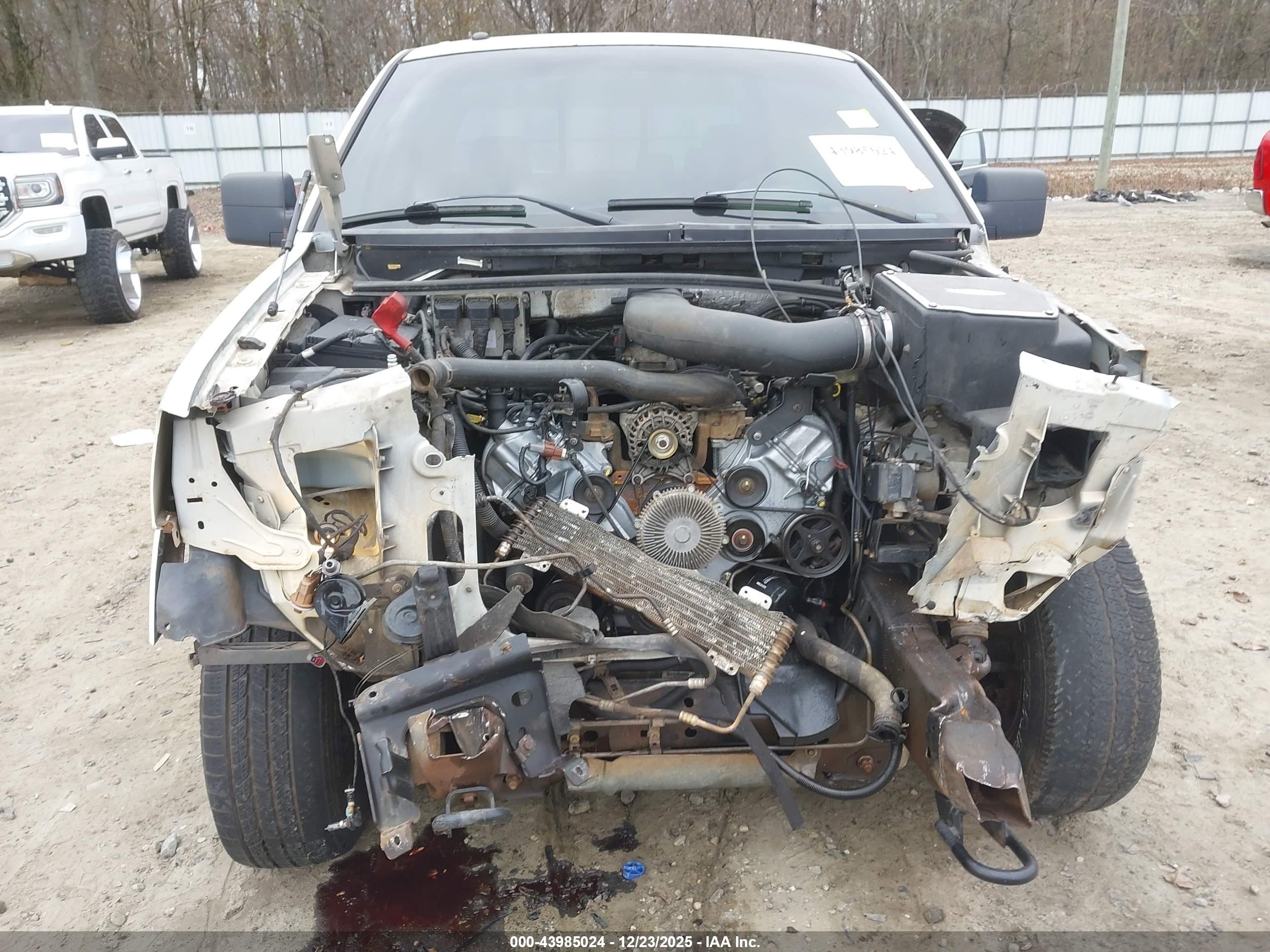FORD F-150 image 6
