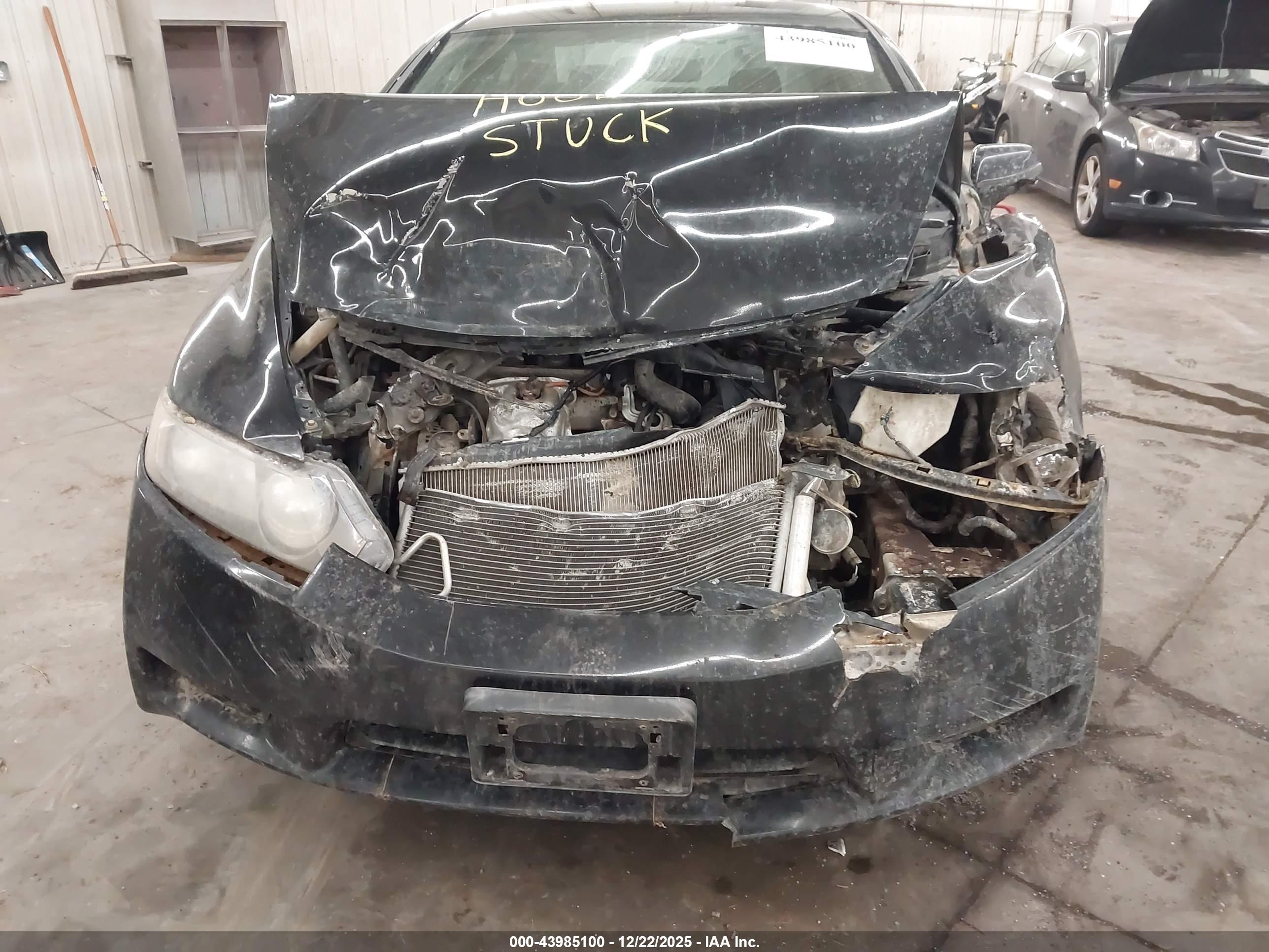 HONDA CIVIC image 6