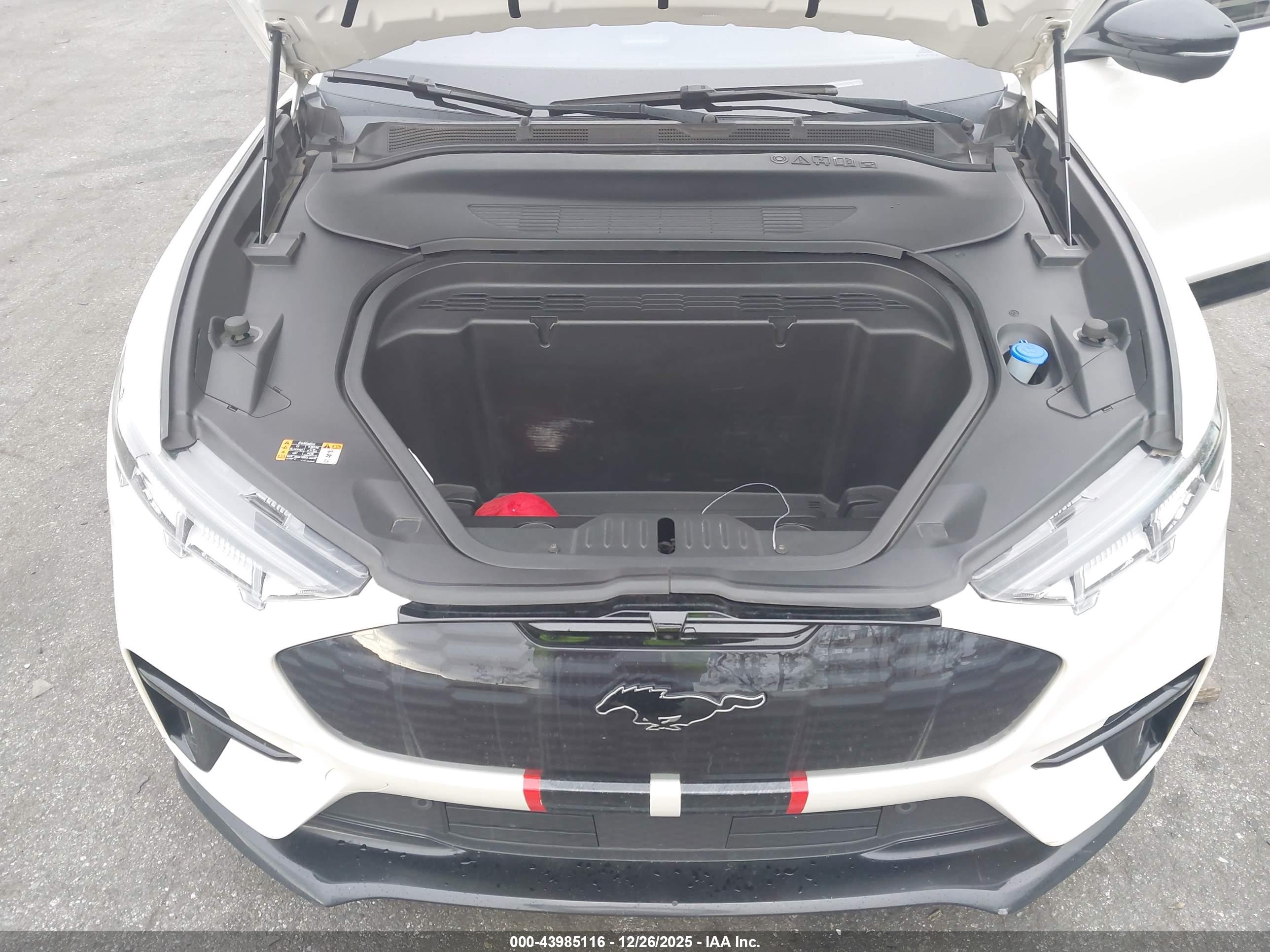 FORD MUSTANG image 10