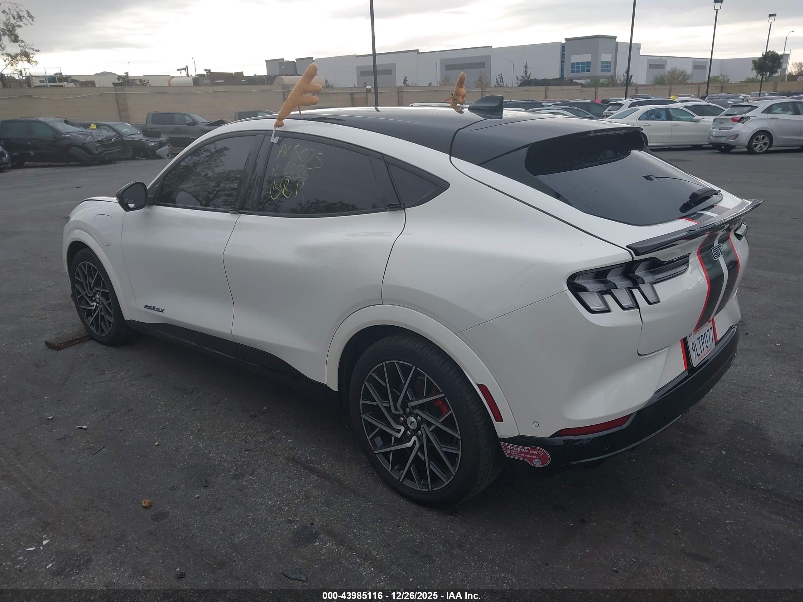 FORD MUSTANG image 3