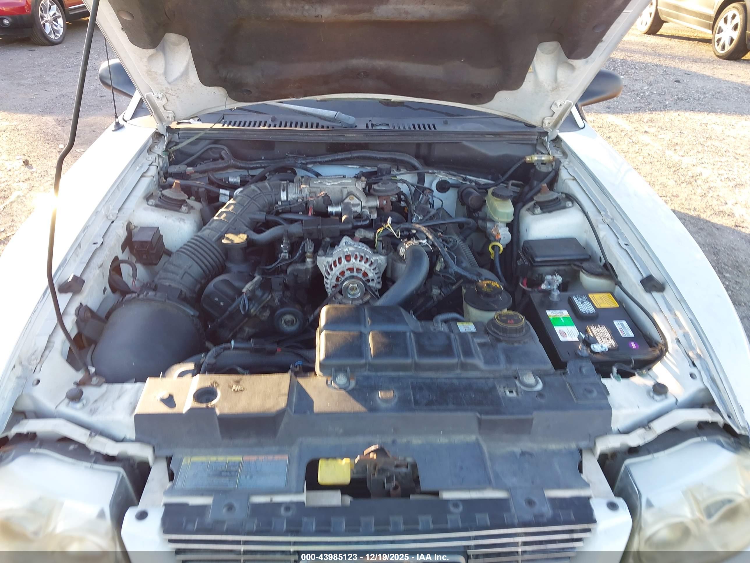 FORD MUSTANG image 10
