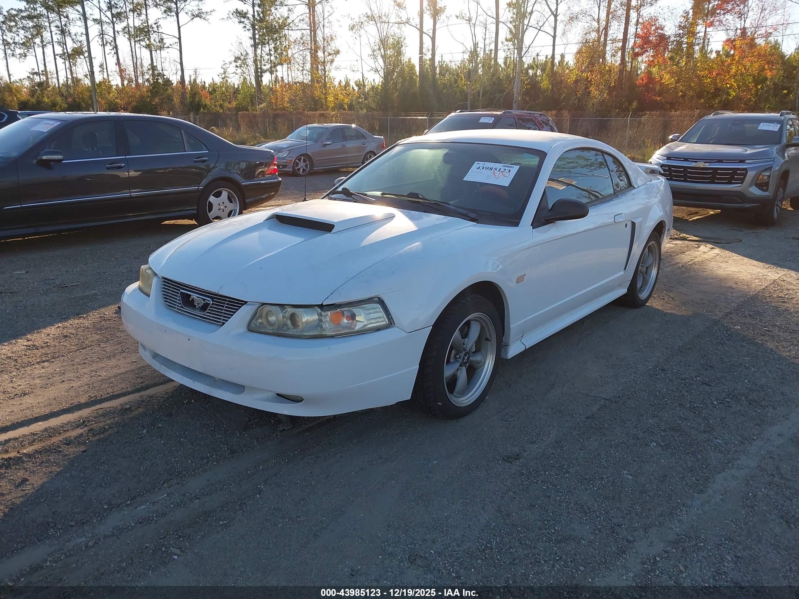 FORD MUSTANG image 2