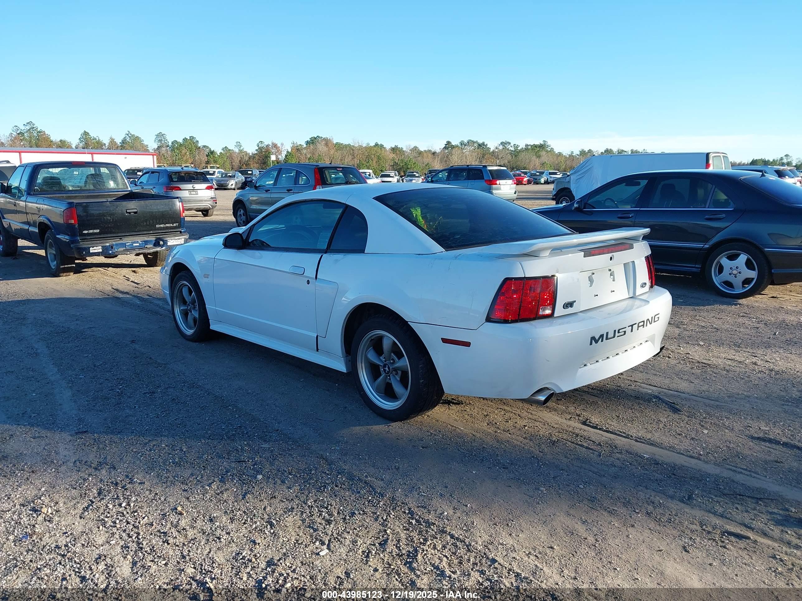 FORD MUSTANG image 3