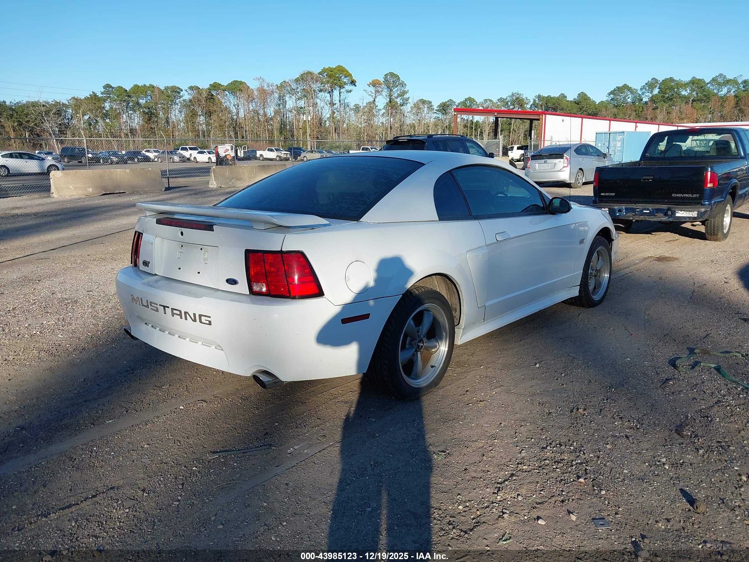 FORD MUSTANG image 4
