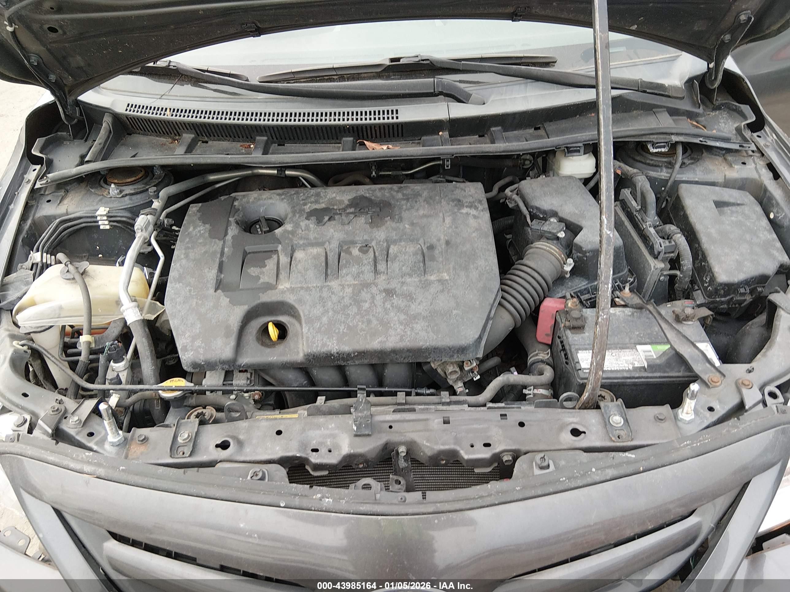TOYOTA COROLLA image 10