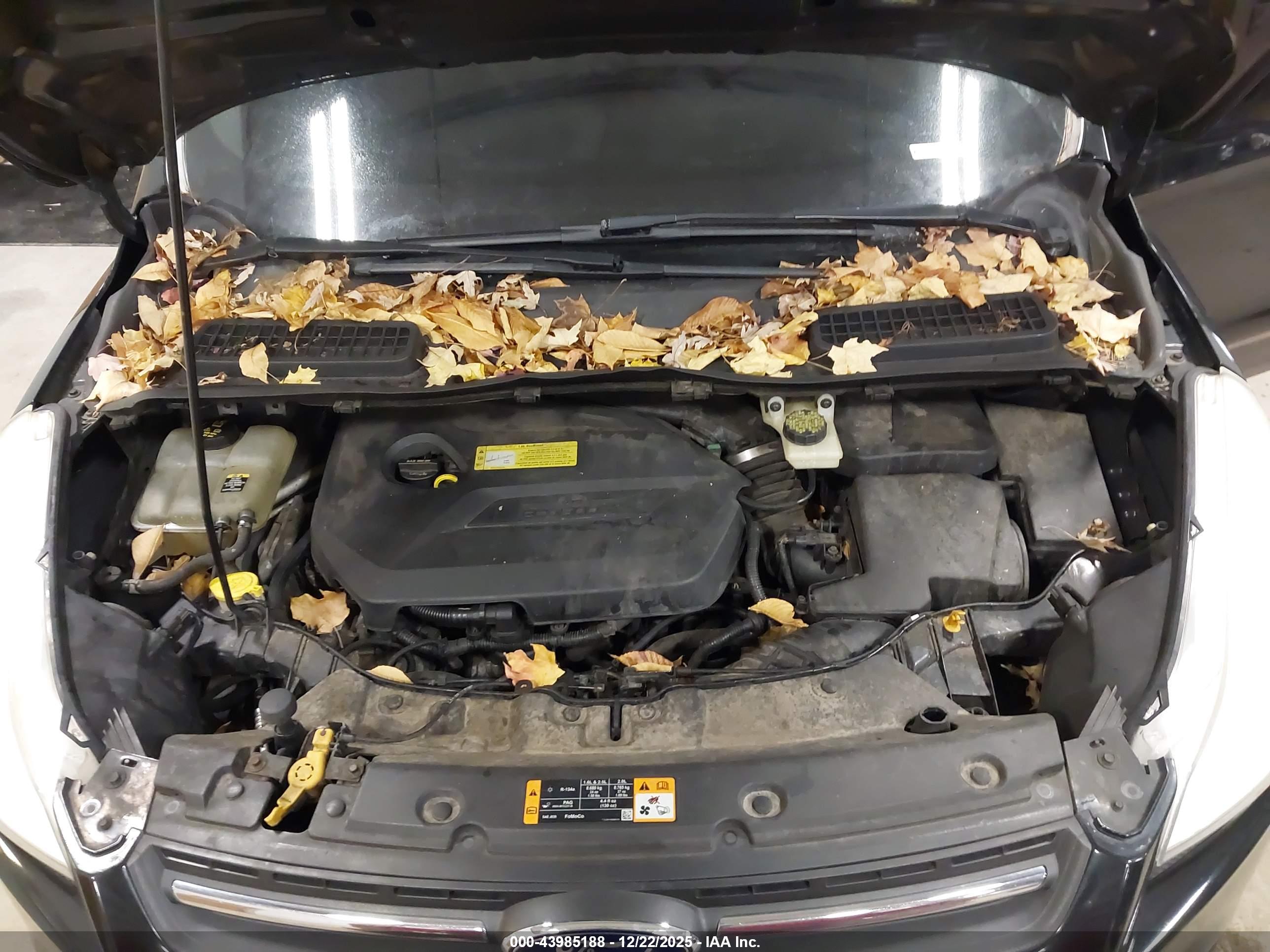 FORD ESCAPE image 10