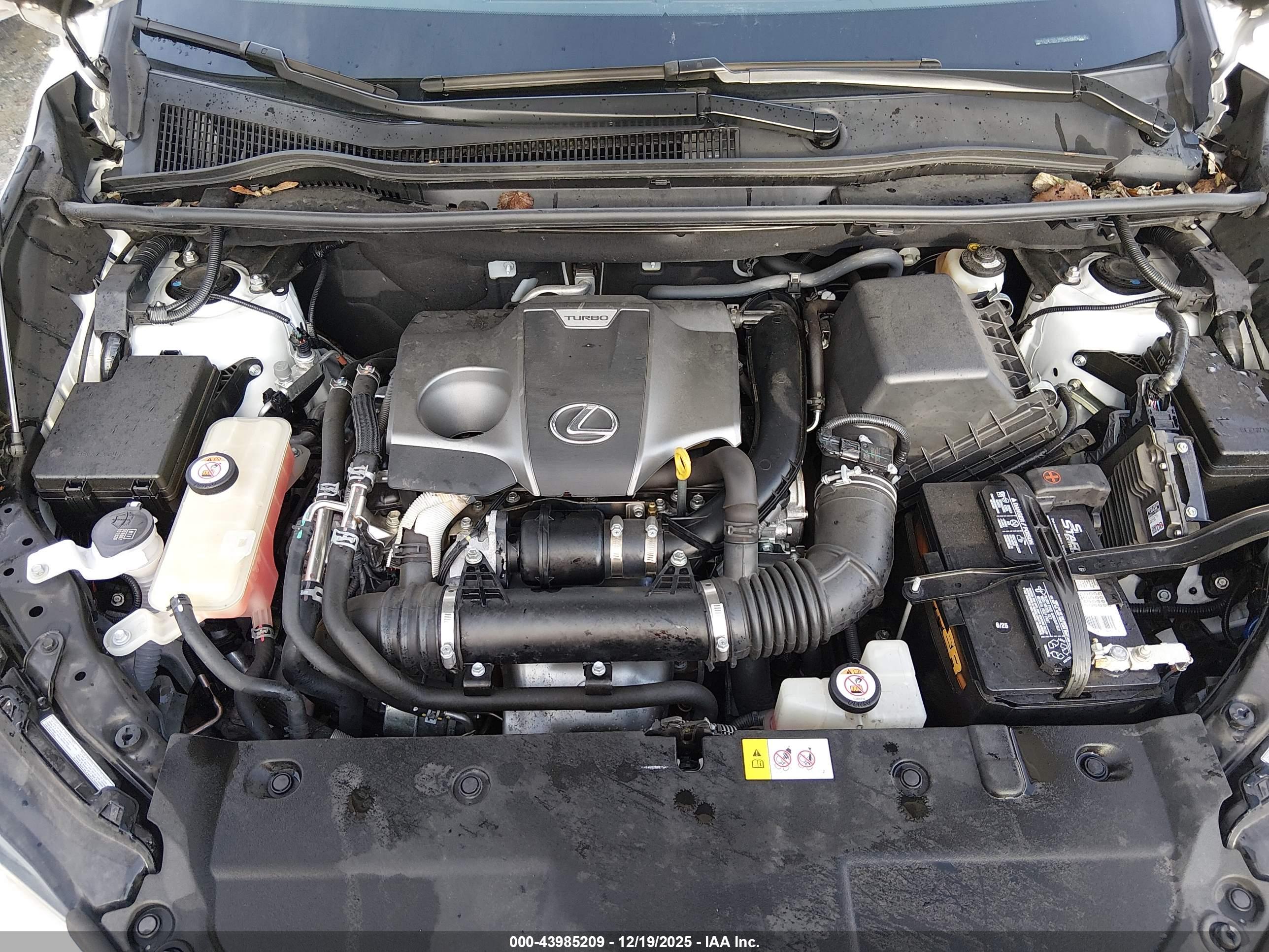 LEXUS NX image 10