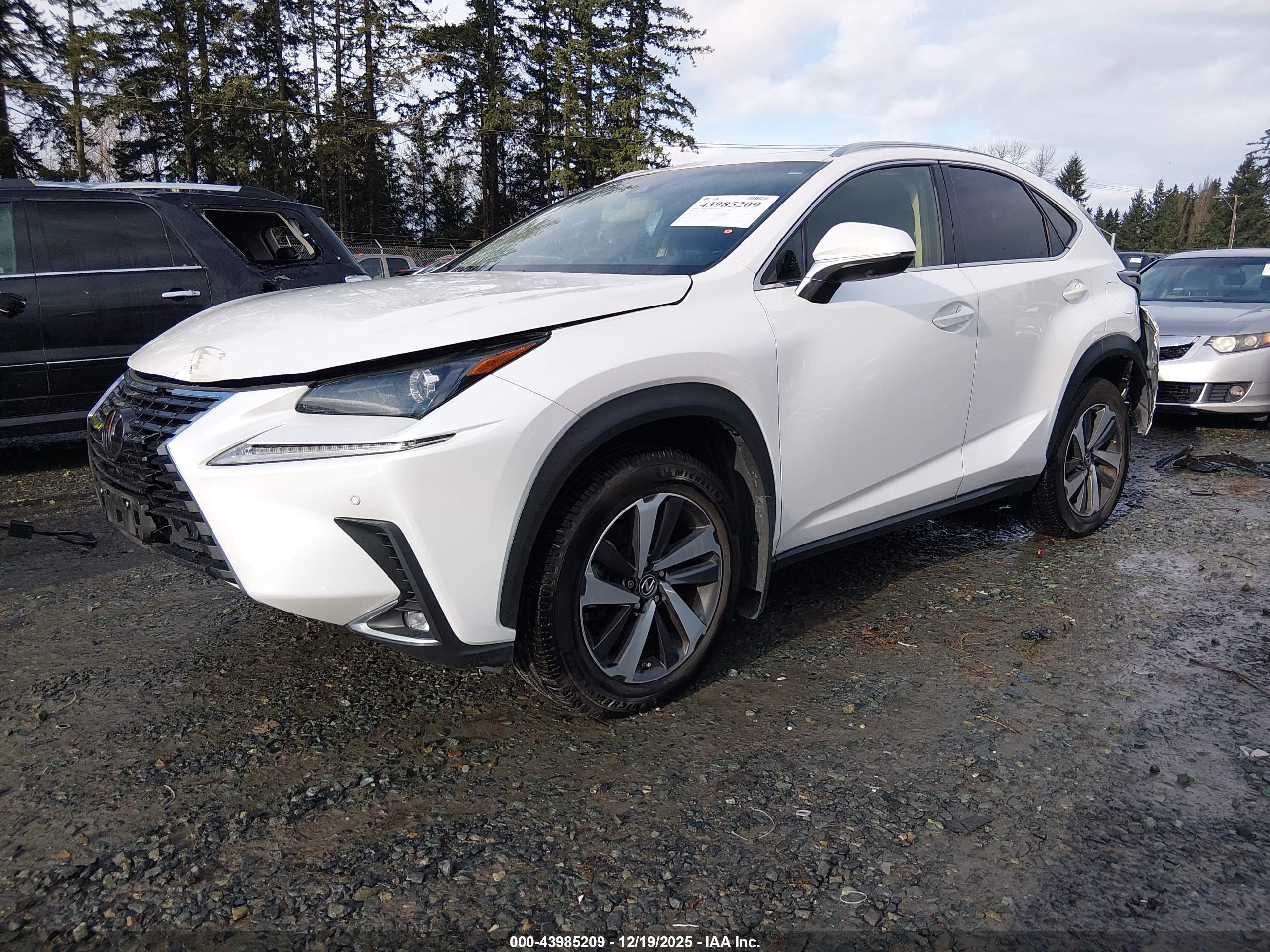 LEXUS NX image 2