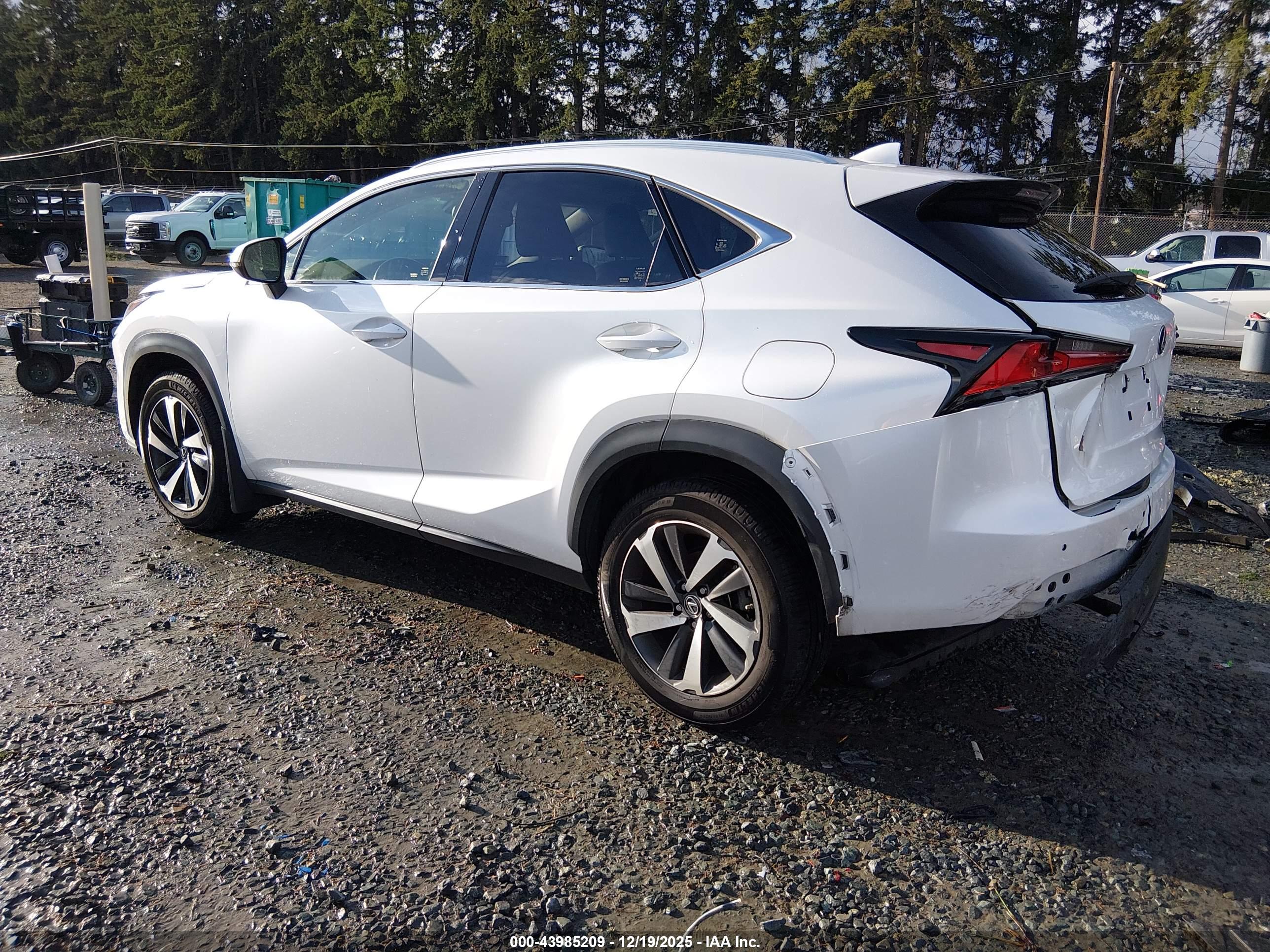 LEXUS NX image 3