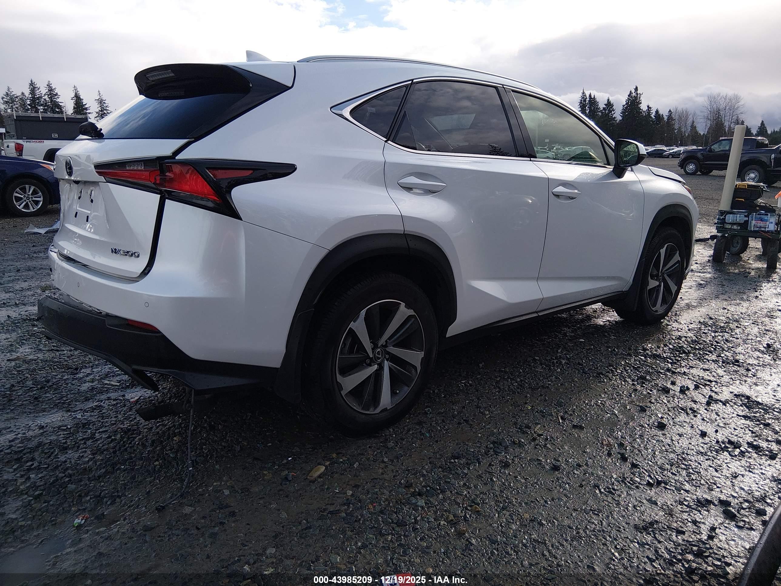 LEXUS NX image 4