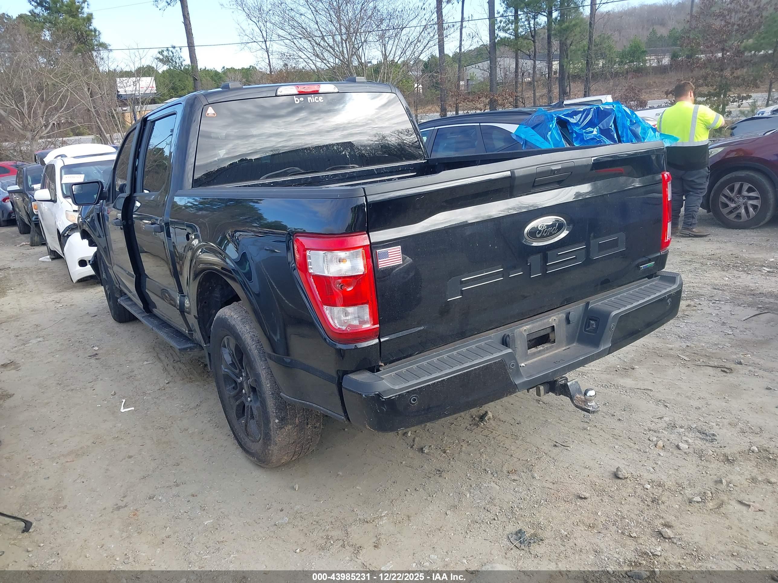 FORD F-150 image 3