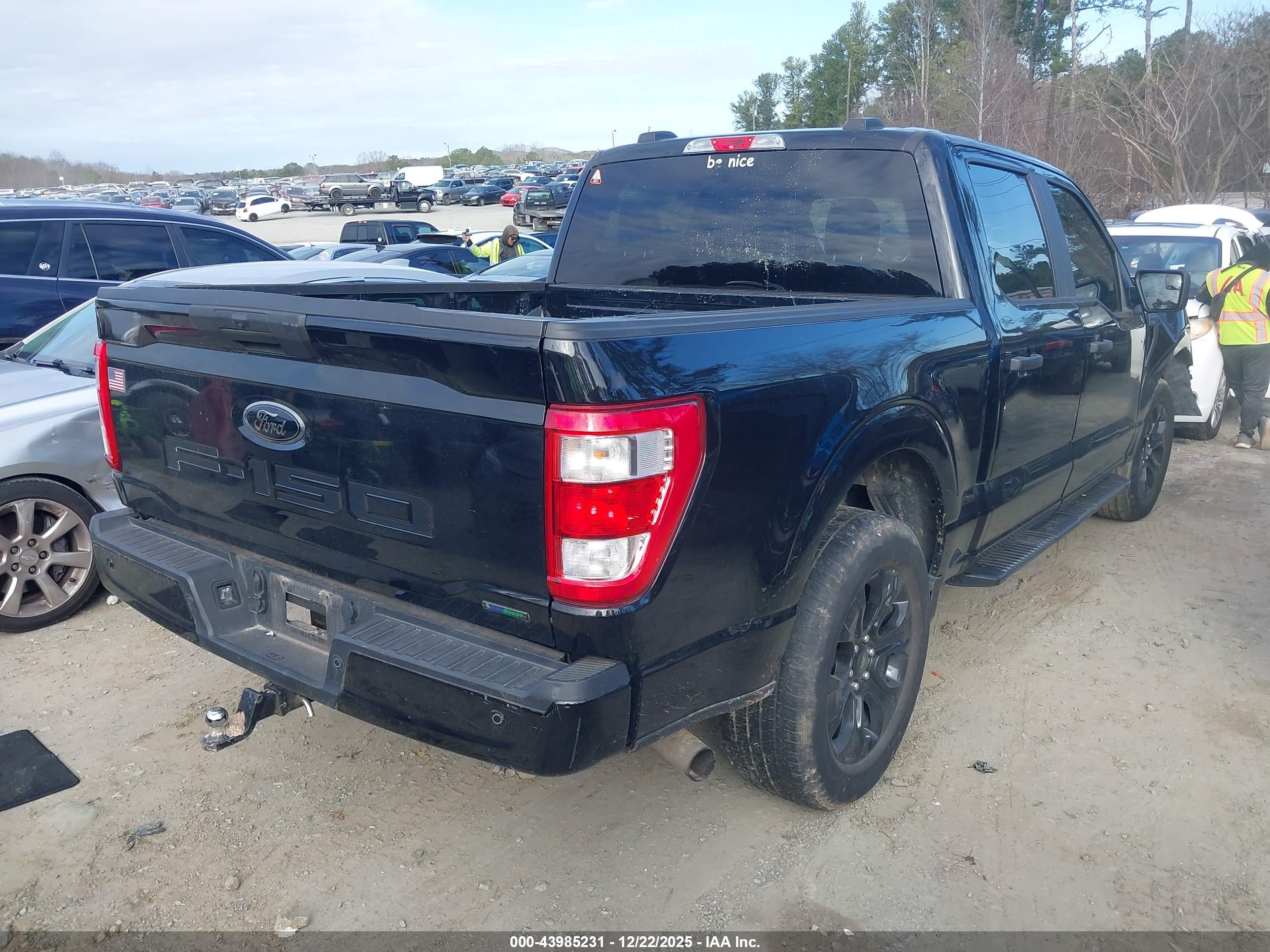 FORD F-150 image 4