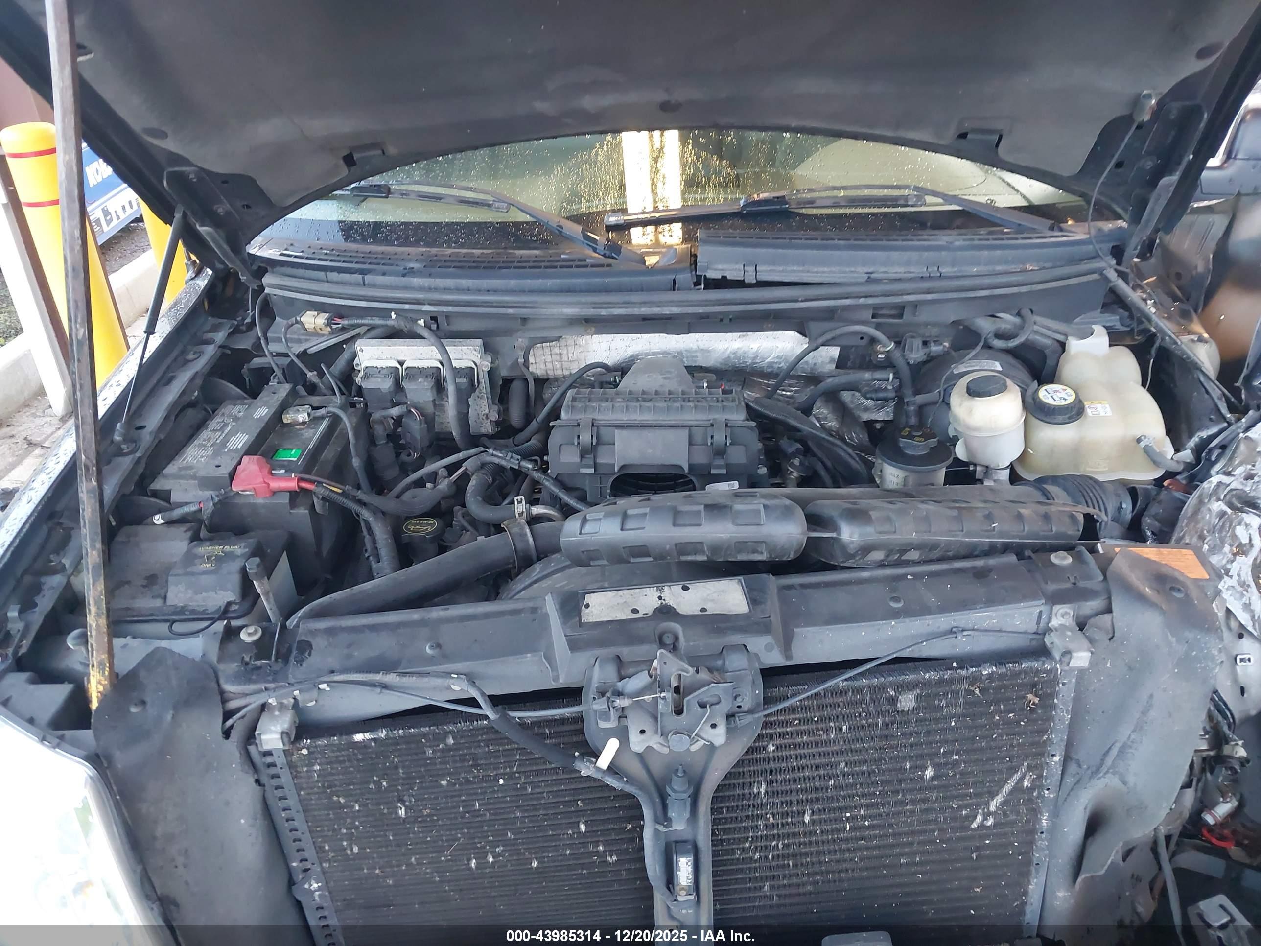 FORD F-150 image 10