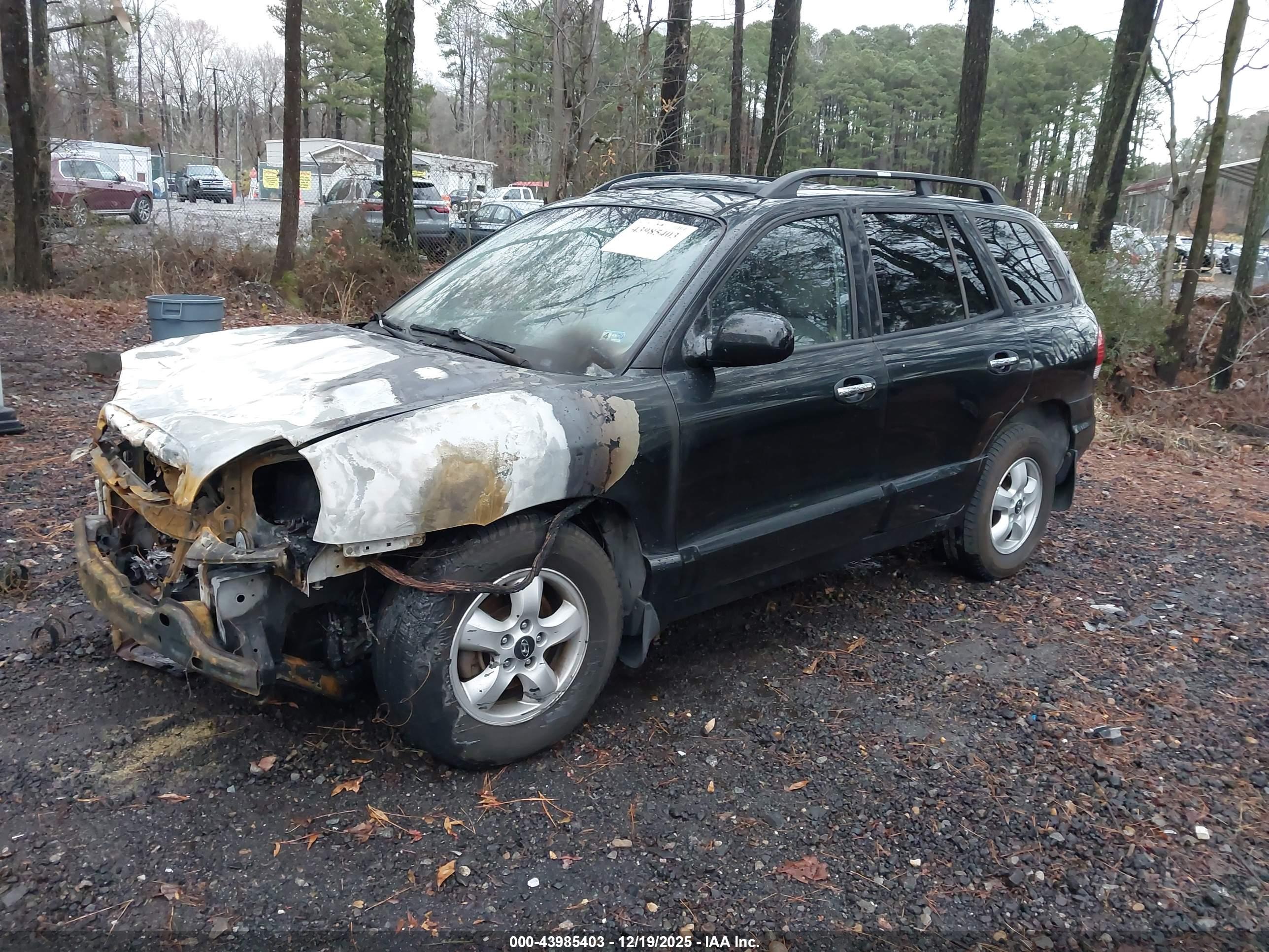 HYUNDAI SANTA image 2