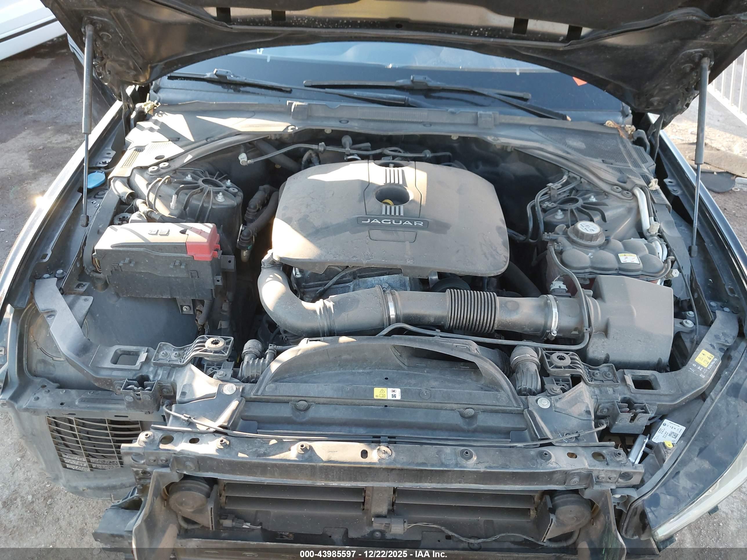JAGUAR XE image 10