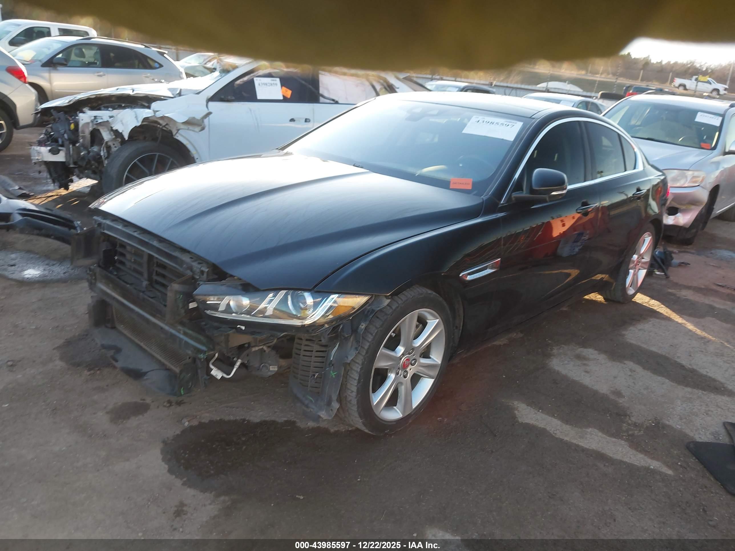 JAGUAR XE image 2