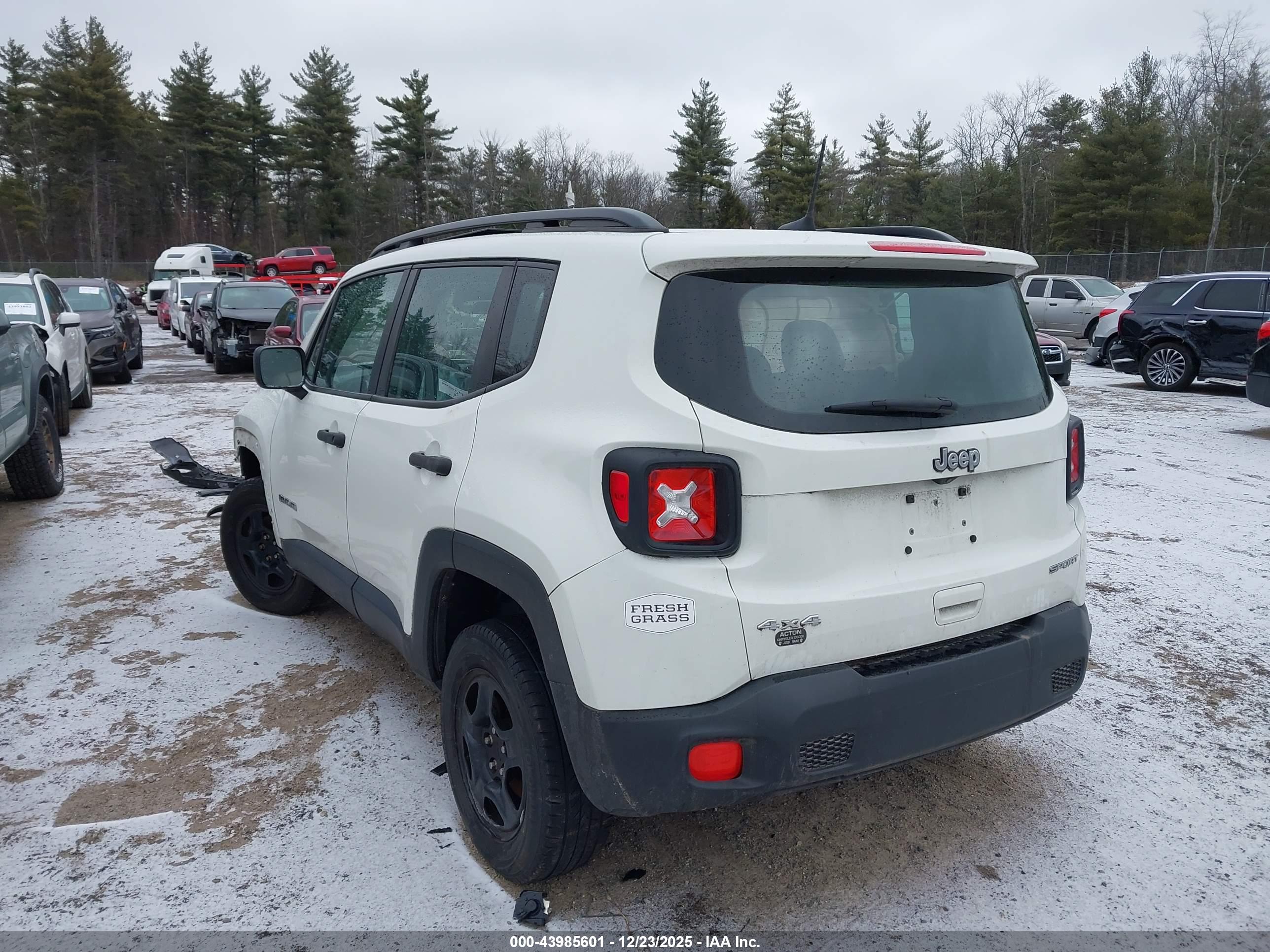 JEEP RENEGADE image 3