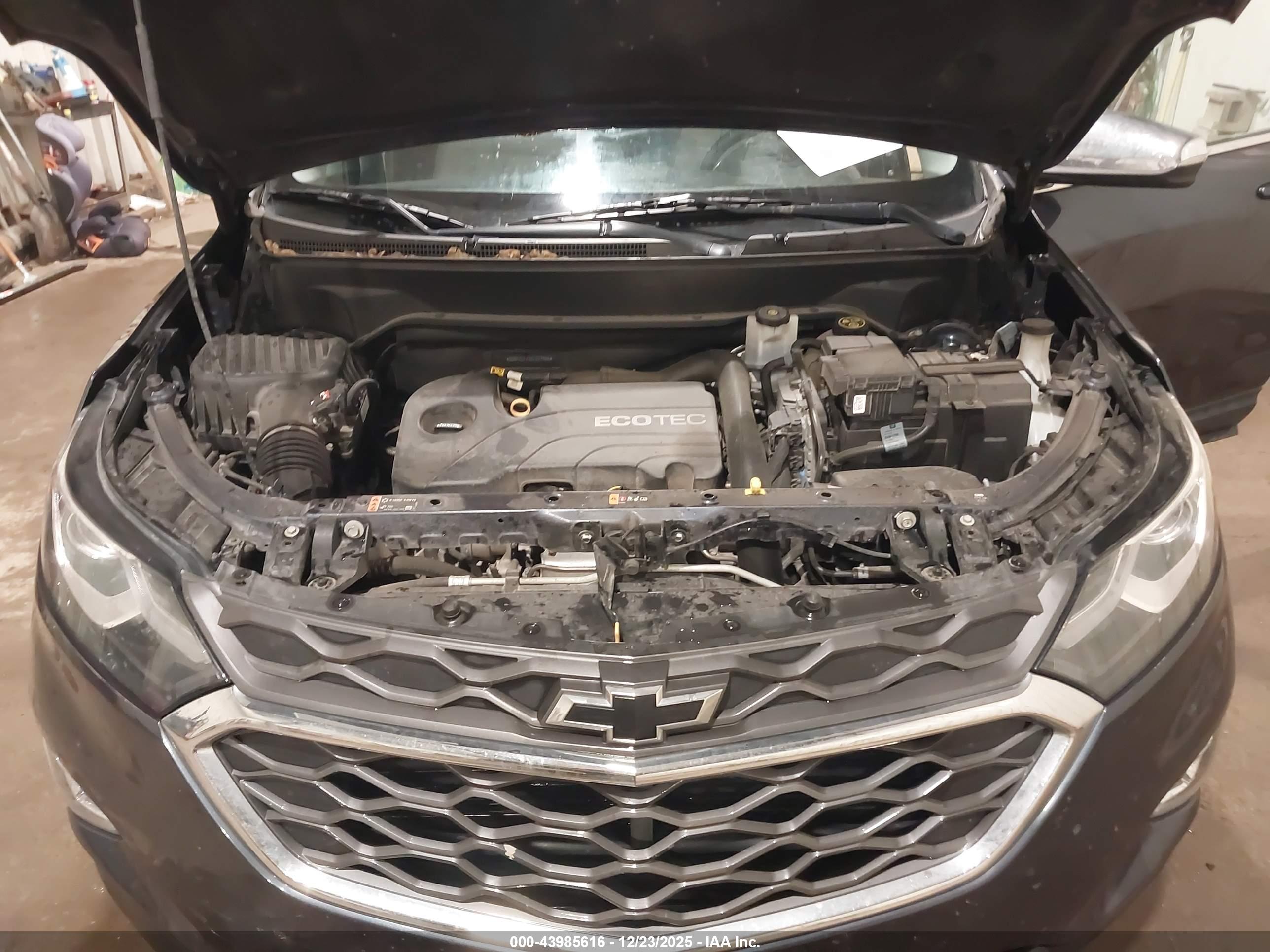 CHEVROLET EQUINOX image 10