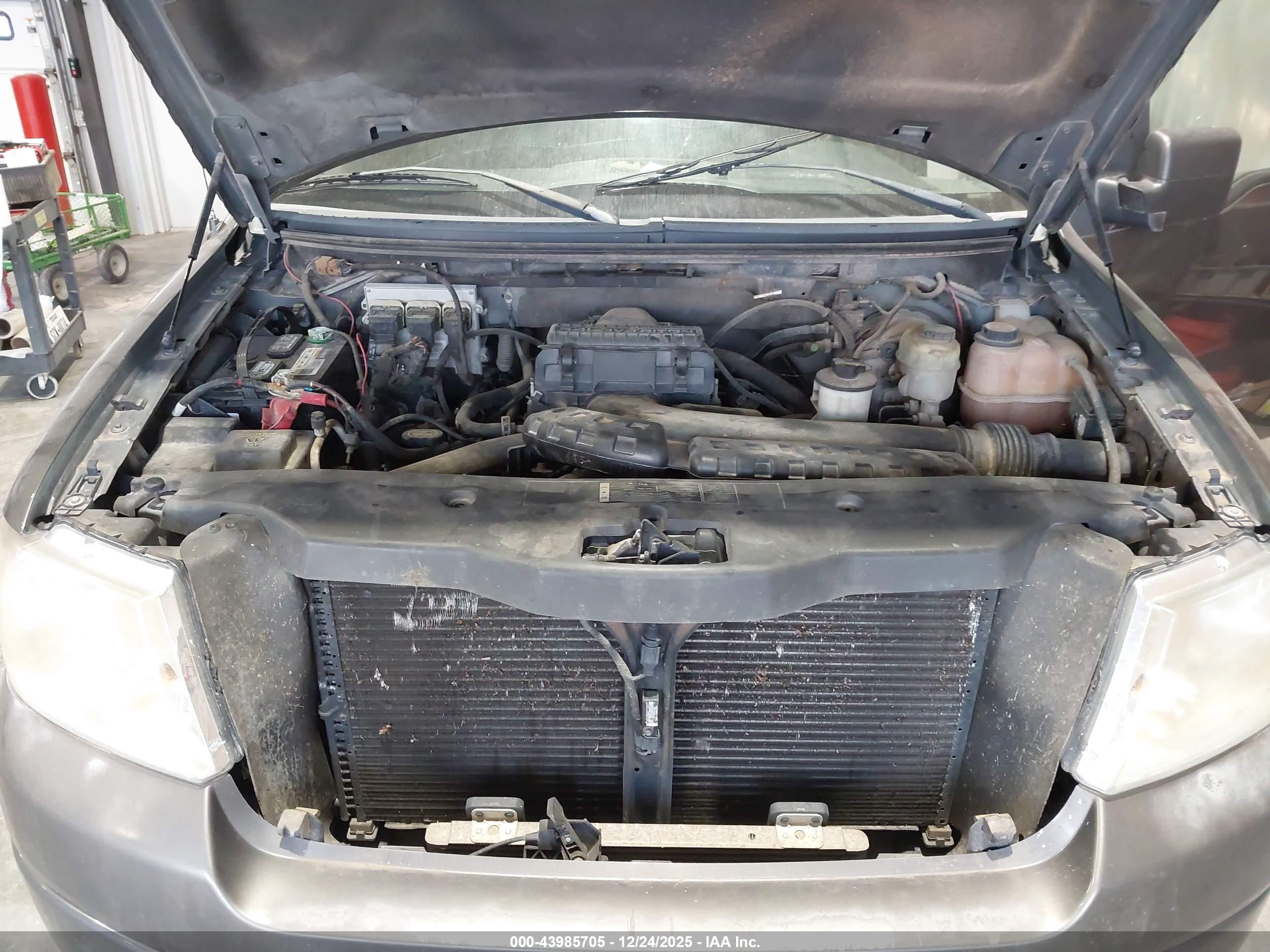 FORD F-150 image 10