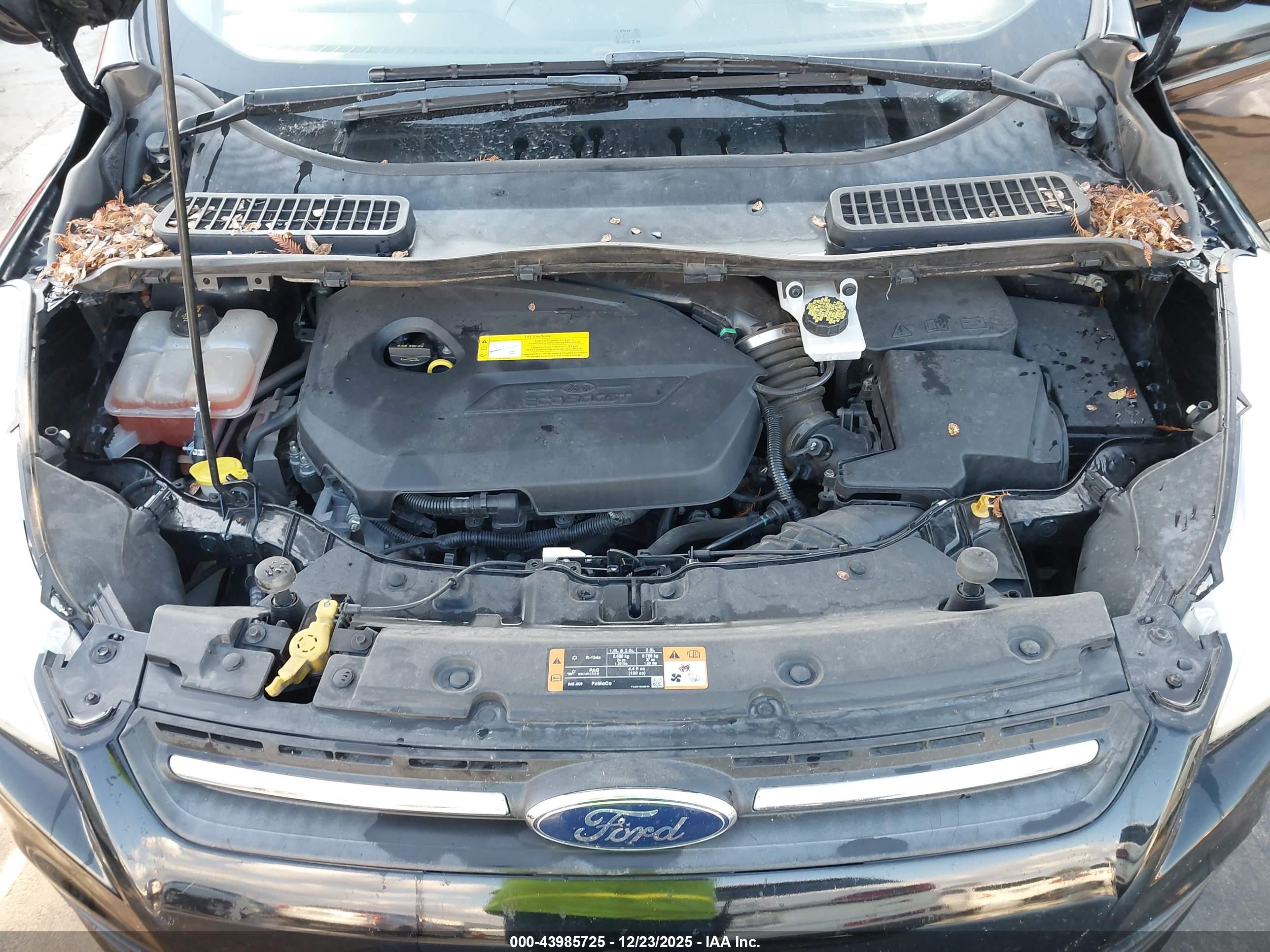 FORD ESCAPE image 10