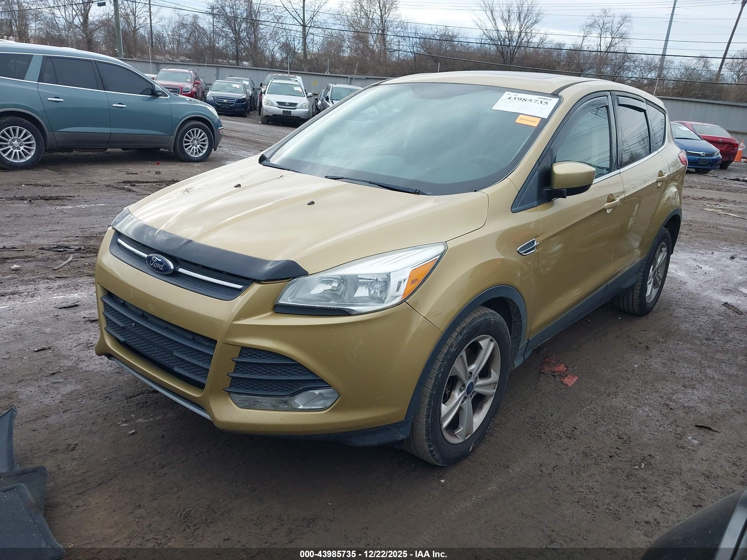FORD ESCAPE image 2