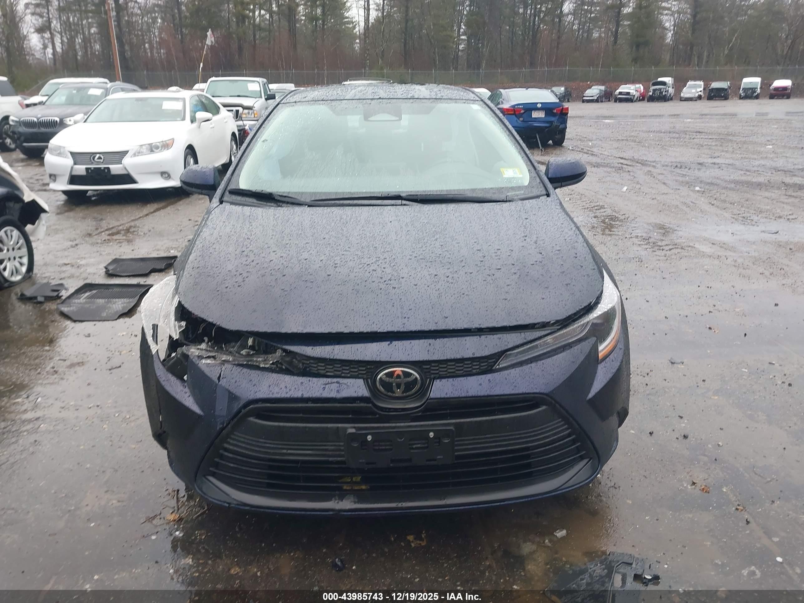 TOYOTA COROLLA image 6