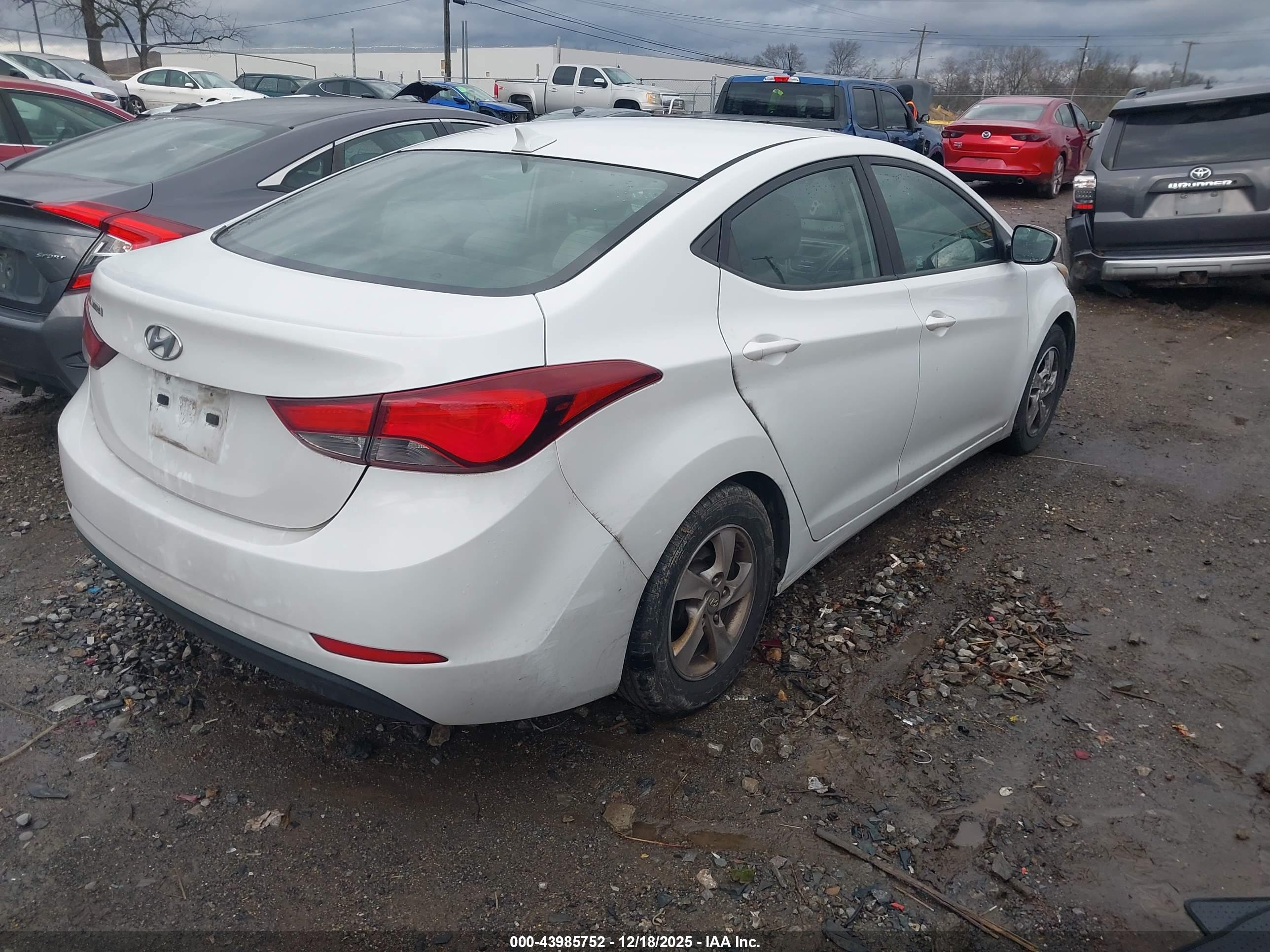 HYUNDAI ELANTRA image 4