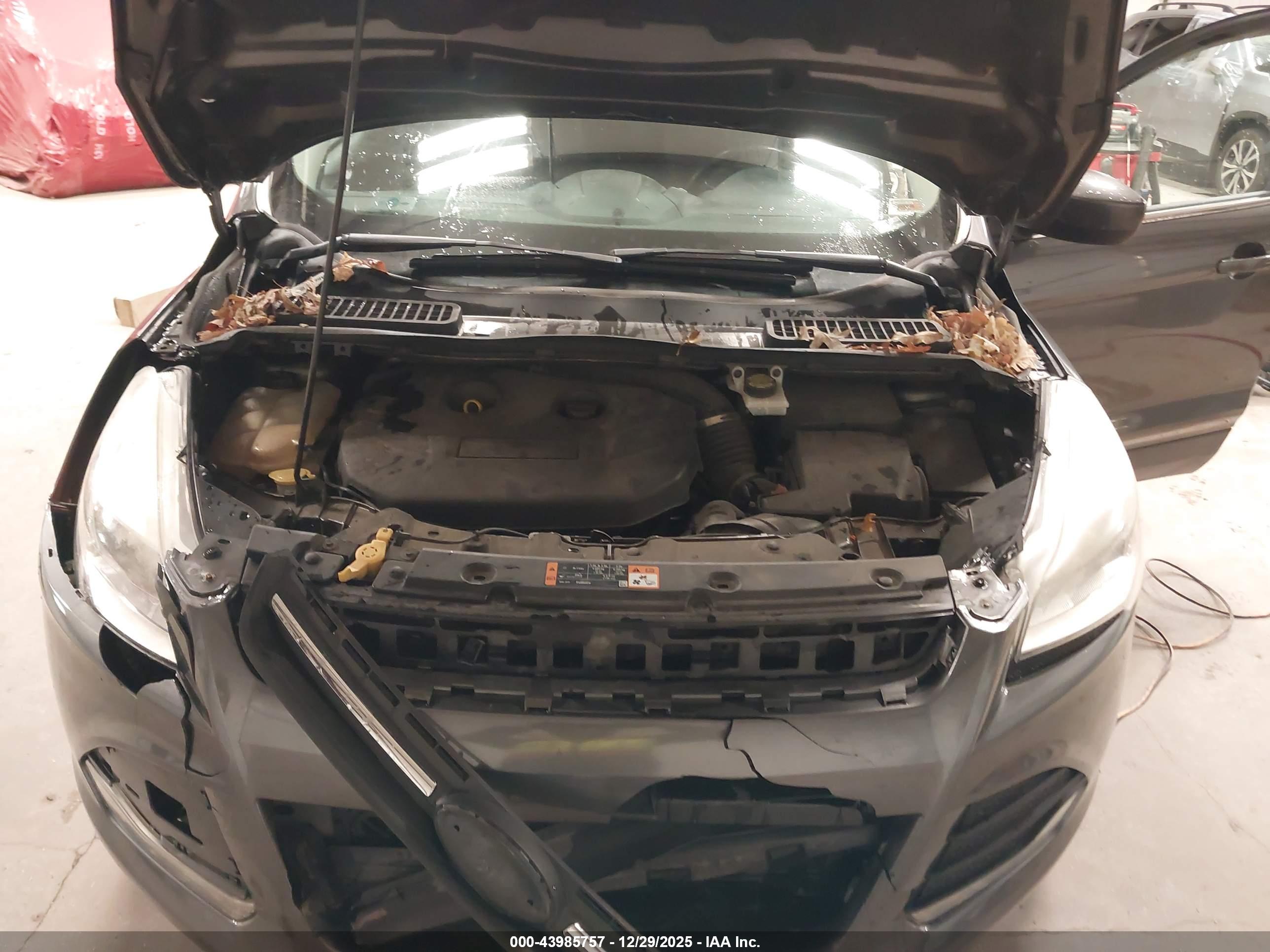 FORD ESCAPE image 10